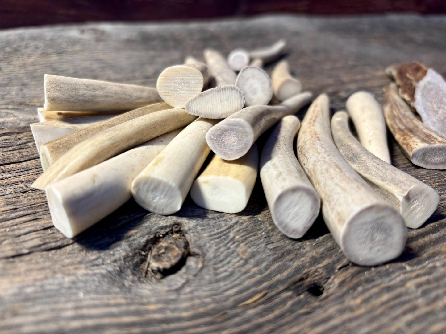 Small Antler Tips (20pcs) Very Good Condition Tips for Crafting Decor and More