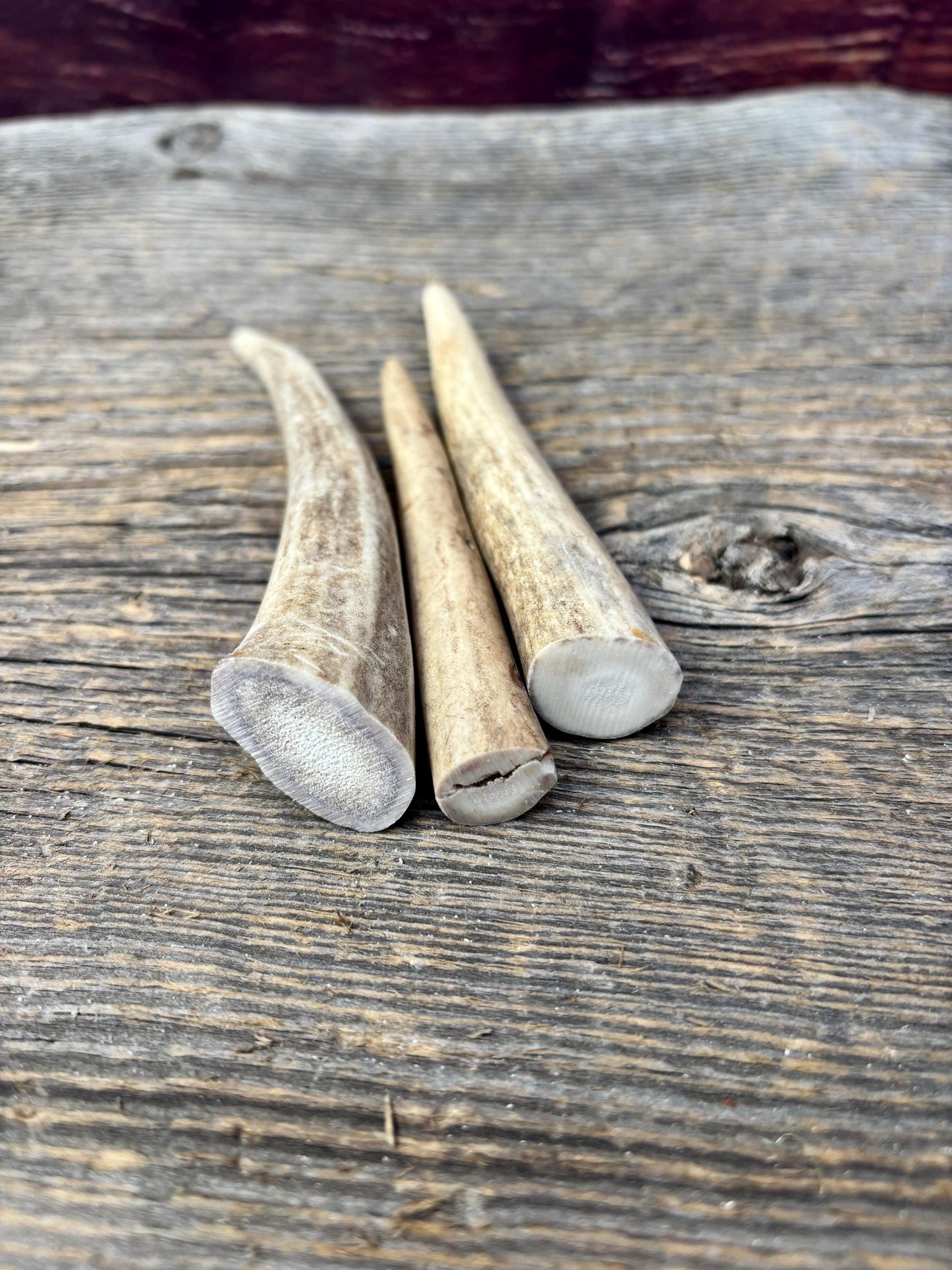 Deer Antler Tips: 3-Pack of ~4” - 5" Tine Tips for Crafting, Decor and More!