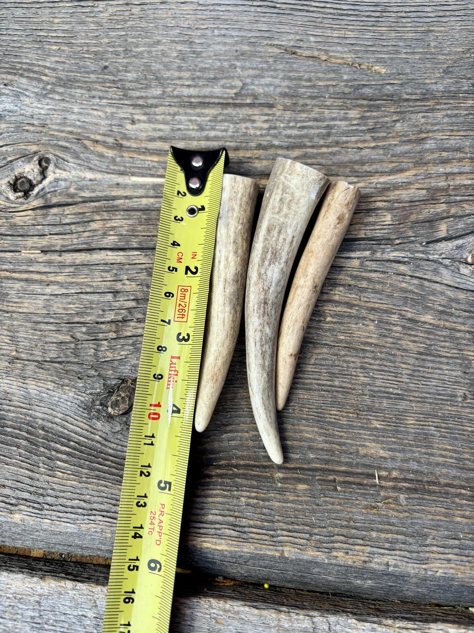 Deer Antler Tips: 3-Pack of ~4” - 5" Tine Tips for Crafting, Decor and More!