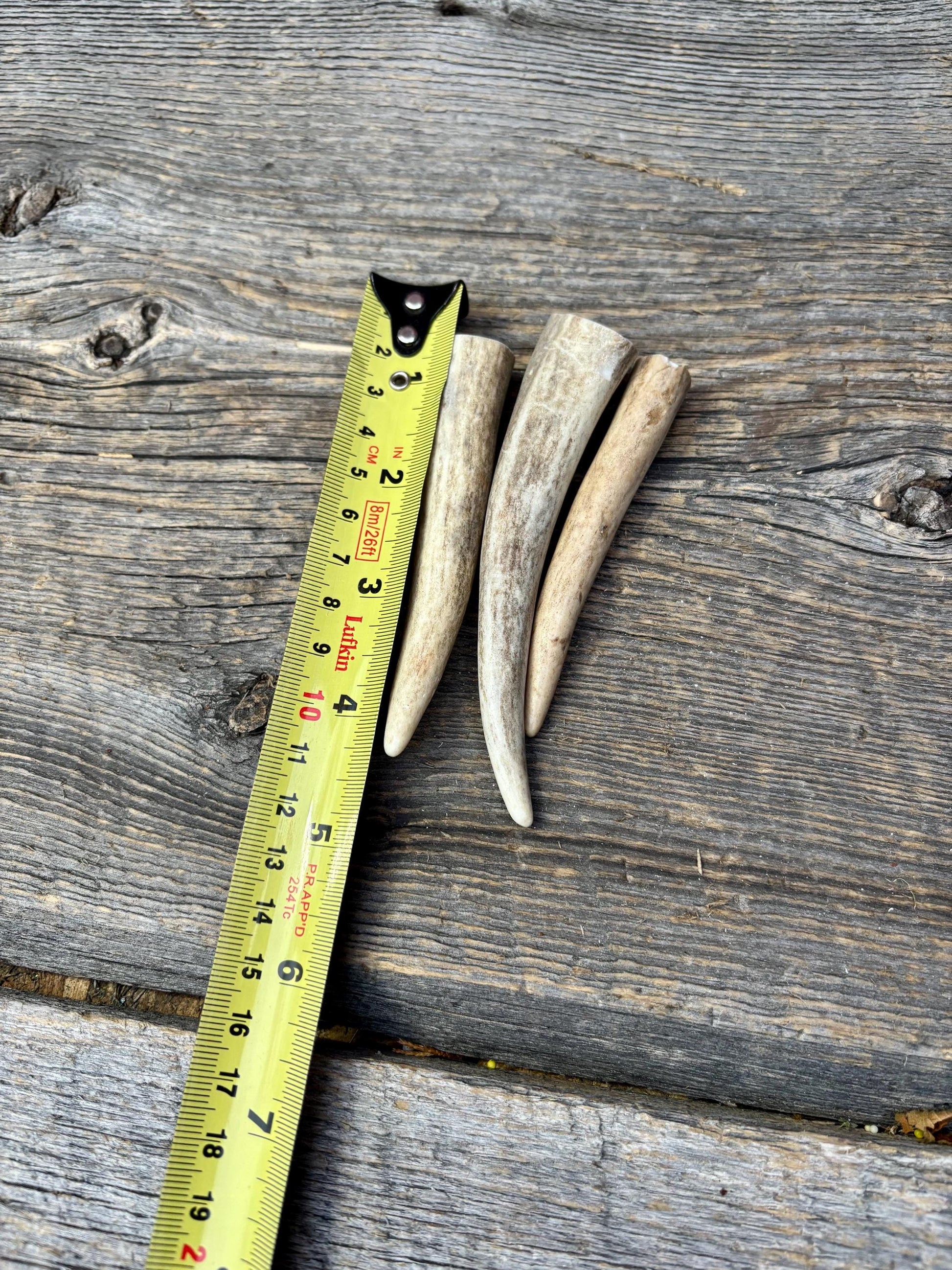 Deer Antler Tips: 3-Pack of ~4” - 5" Tine Tips for Crafting, Decor and More!