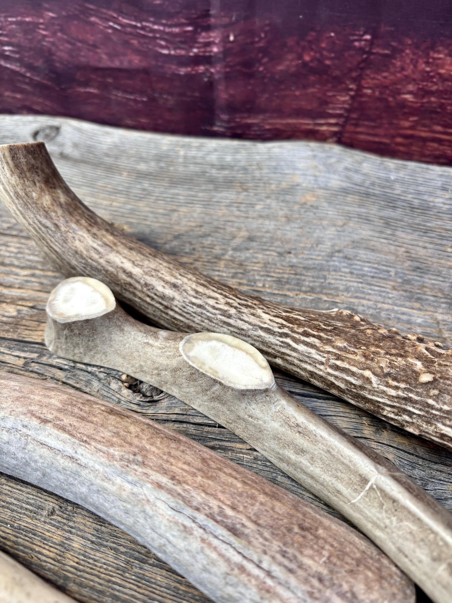 Split Antler Chews - Medium Size. Premium Split Antler Chews (4-pack)