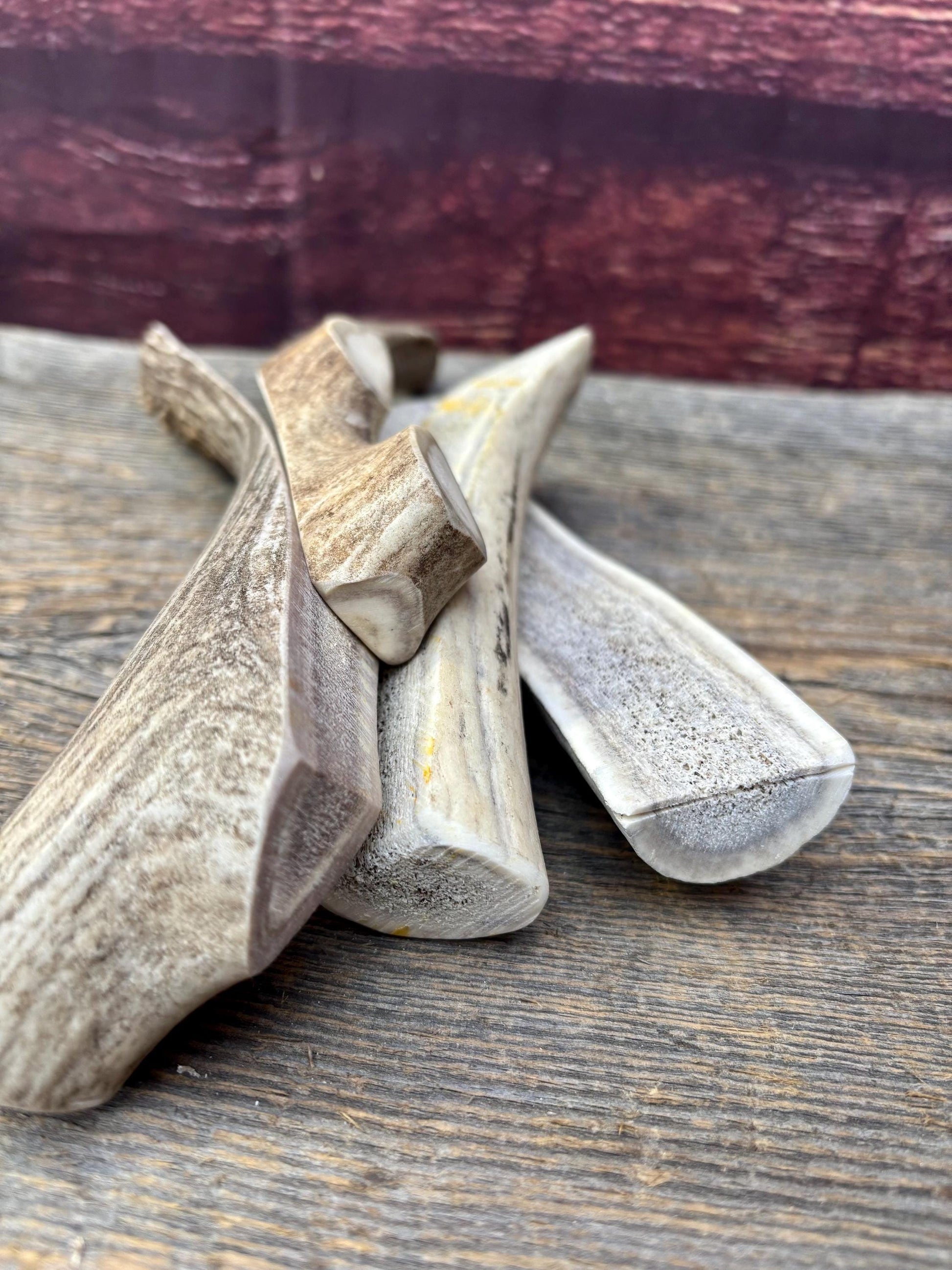 Split Antler Chews - Medium Size. Premium Split Antler Chews (4-pack)