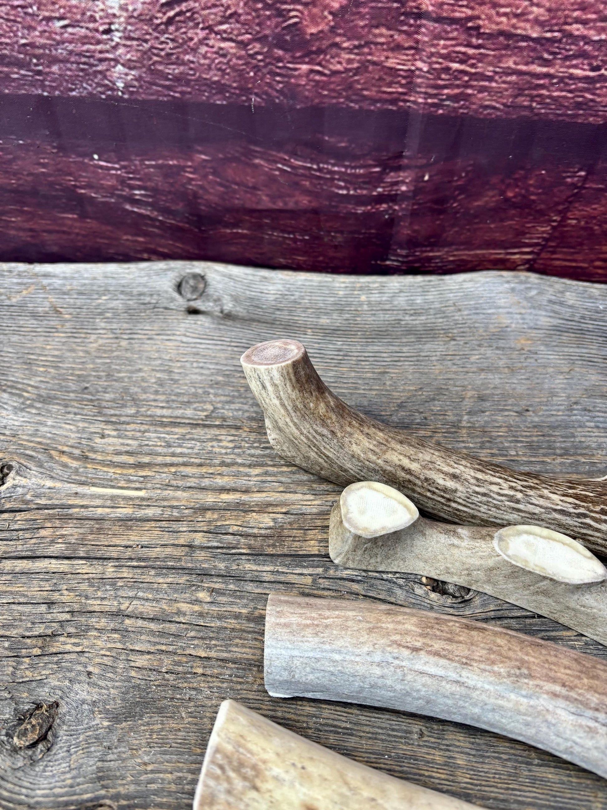 Split Antler Chews - Medium Size. Premium Split Antler Chews (4-pack)