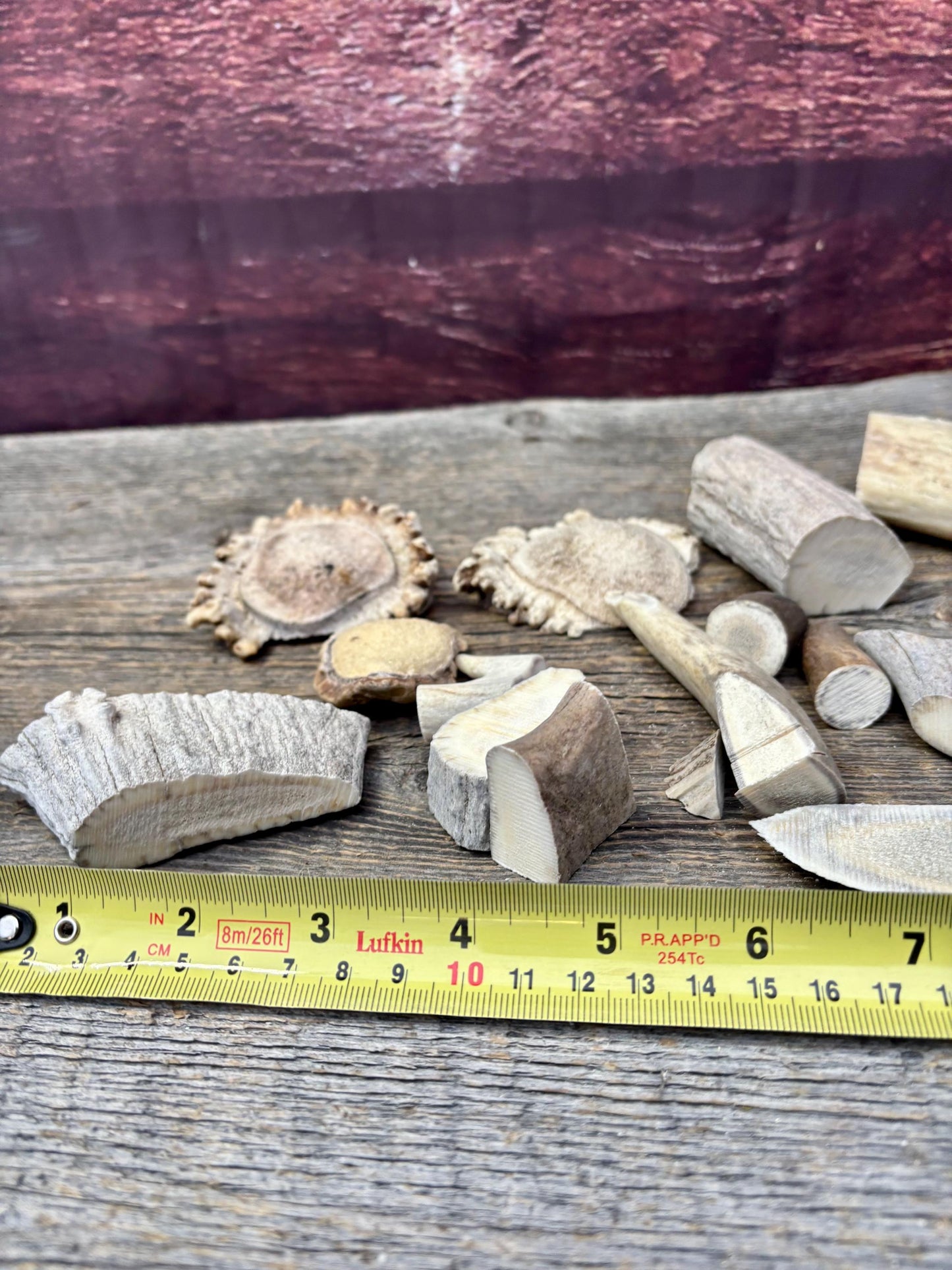Deer, Moose and Elk Antler Chunks and Trimmings, small chunks and Trimmings and Tips. Useable for Crafting, Decor and More!