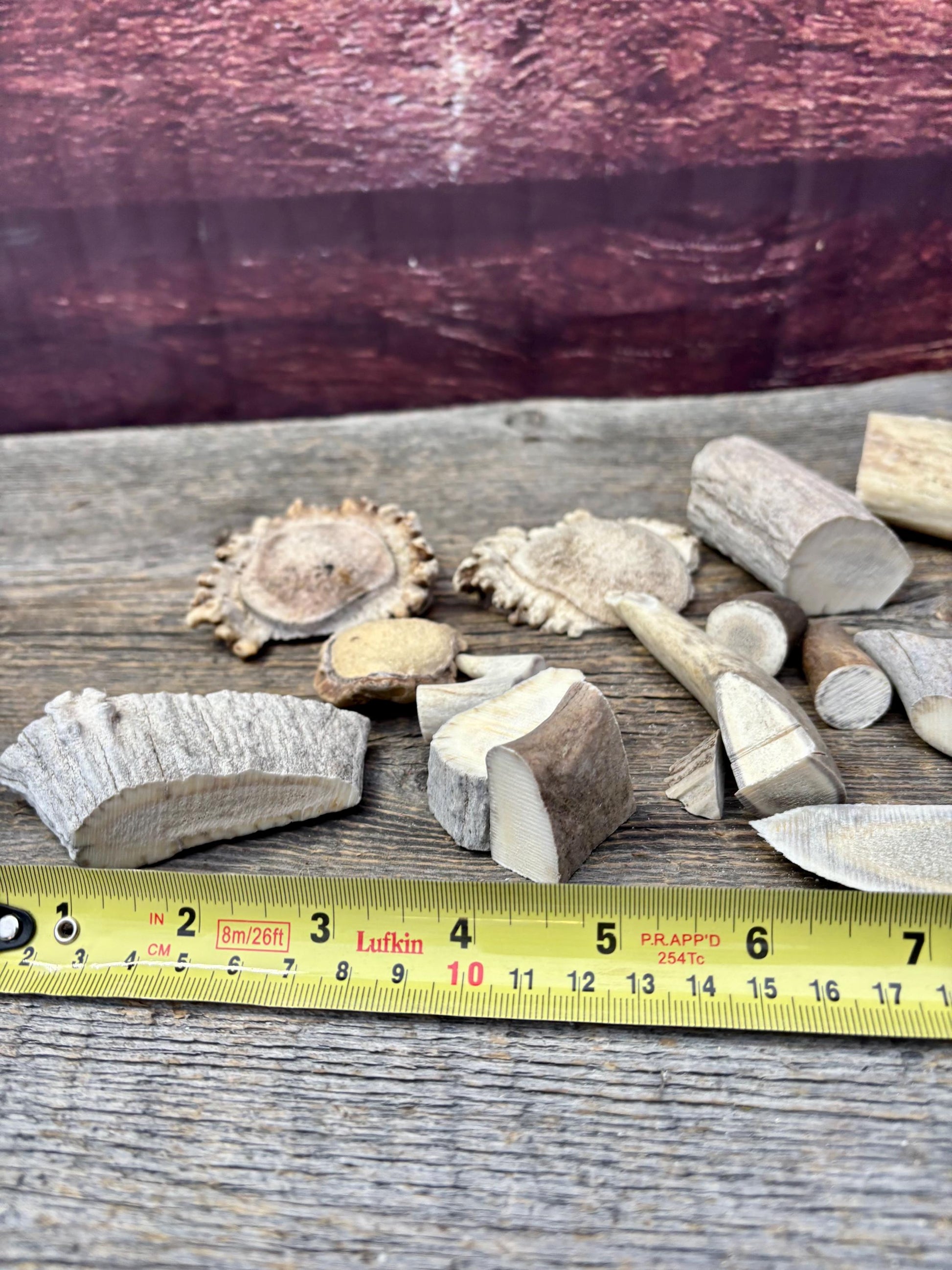 Deer, Moose and Elk Antler Chunks and Trimmings, small chunks and Trimmings and Tips. Useable for Crafting, Decor and More!