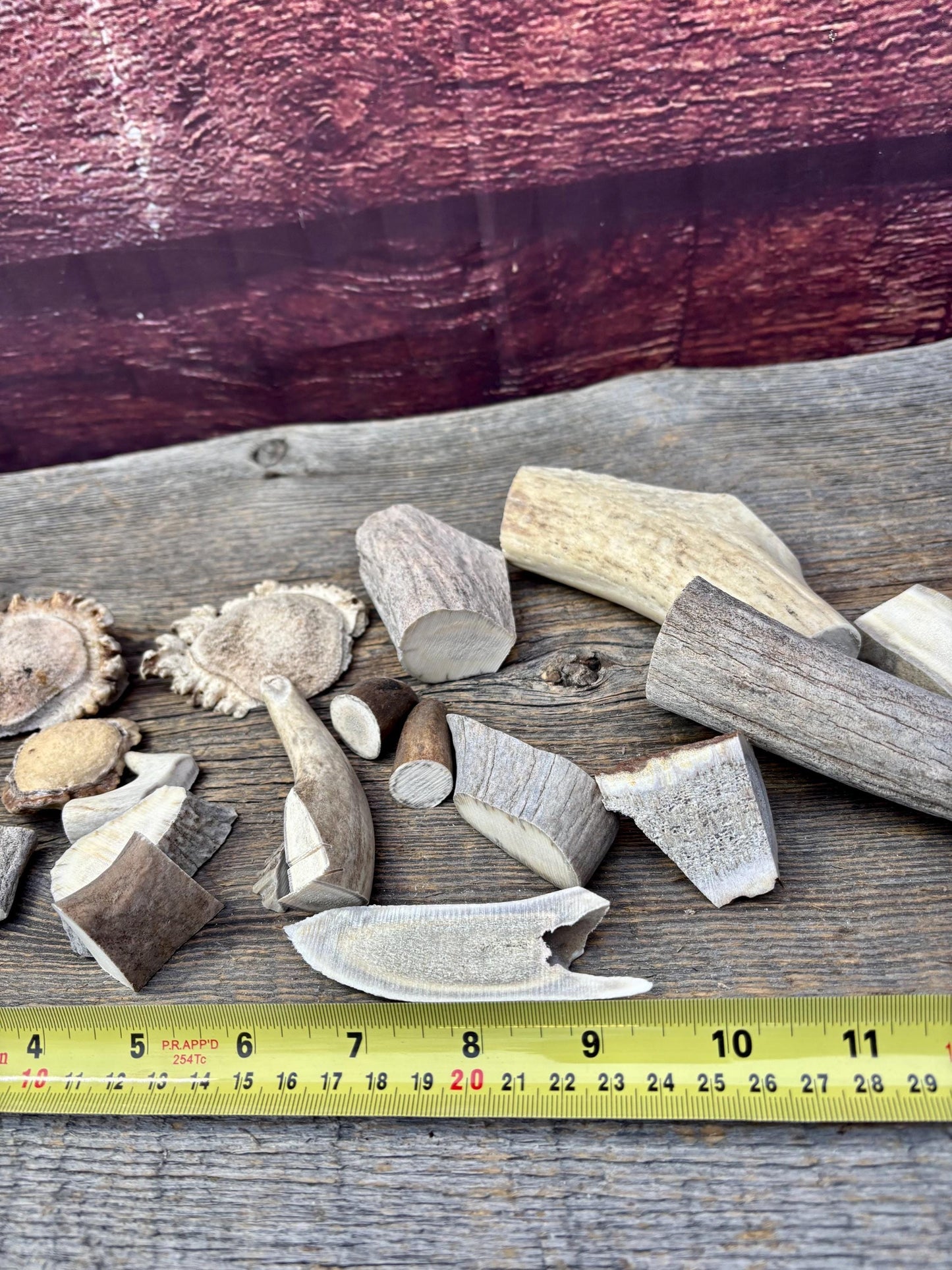 Deer, Moose and Elk Antler Chunks and Trimmings, small chunks and Trimmings and Tips. Useable for Crafting, Decor and More!