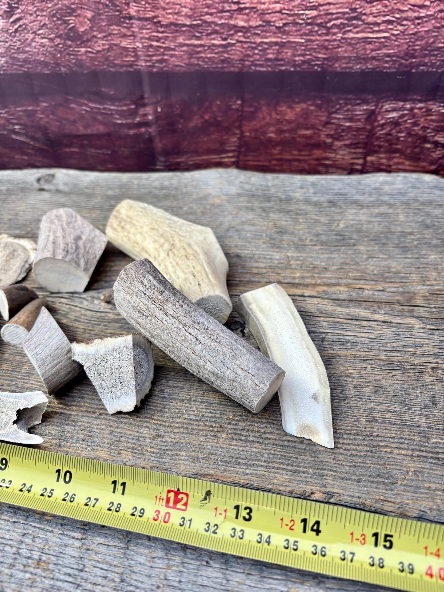 Deer, Moose and Elk Antler Chunks and Trimmings, small chunks and Trimmings and Tips. Useable for Crafting, Decor and More!
