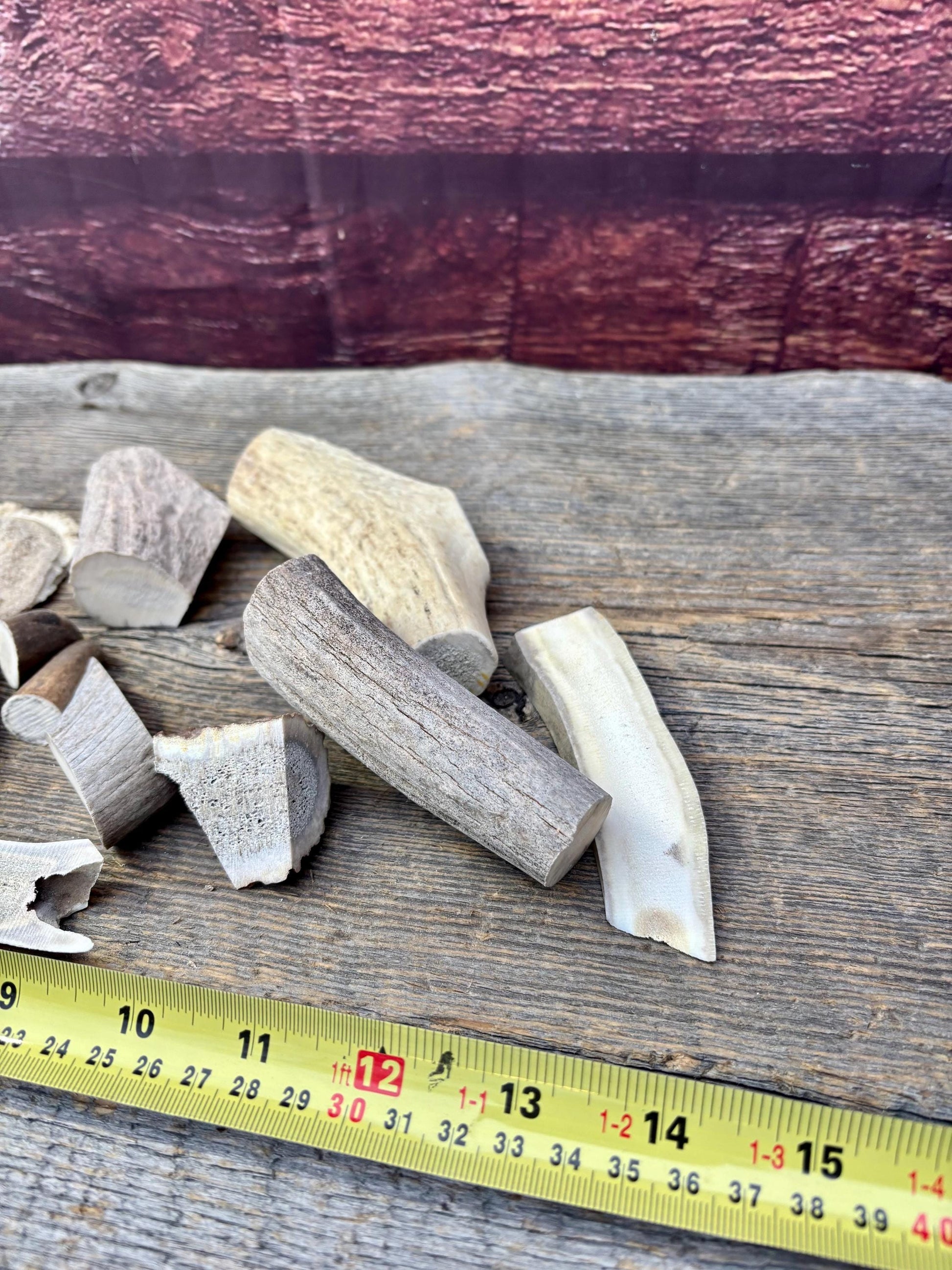 Deer, Moose and Elk Antler Chunks and Trimmings, small chunks and Trimmings and Tips. Useable for Crafting, Decor and More!