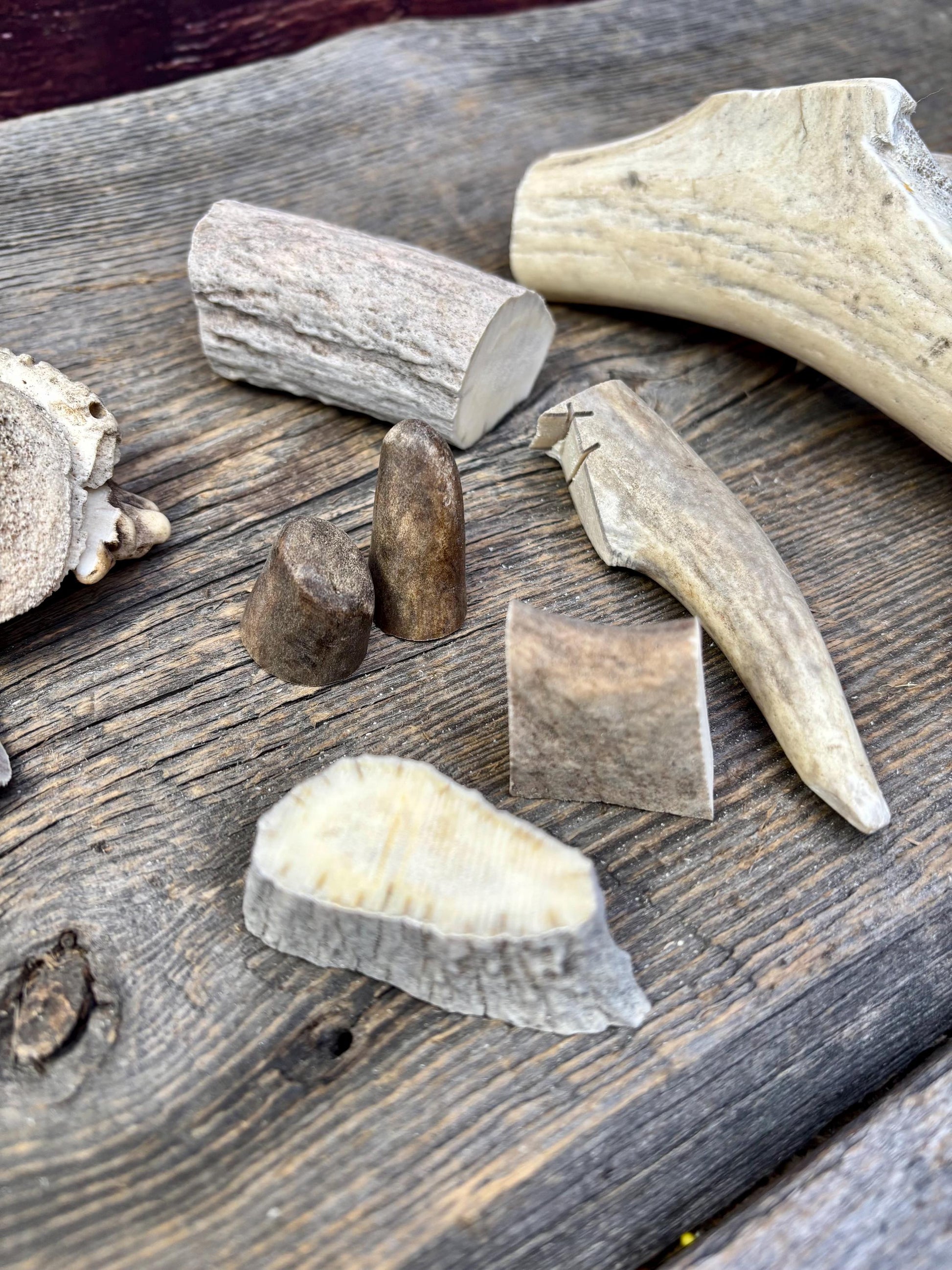 Deer, Moose and Elk Antler Chunks and Trimmings, small chunks and Trimmings and Tips. Useable for Crafting, Decor and More!