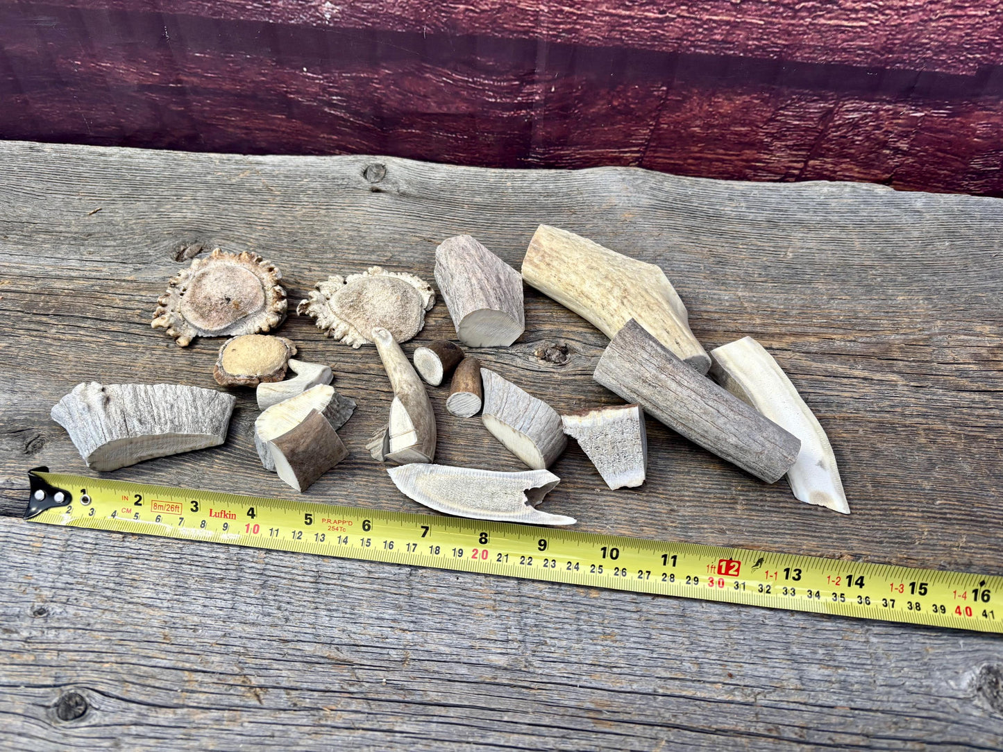 Deer, Moose and Elk Antler Chunks and Trimmings, small chunks and Trimmings and Tips. Useable for Crafting, Decor and More!