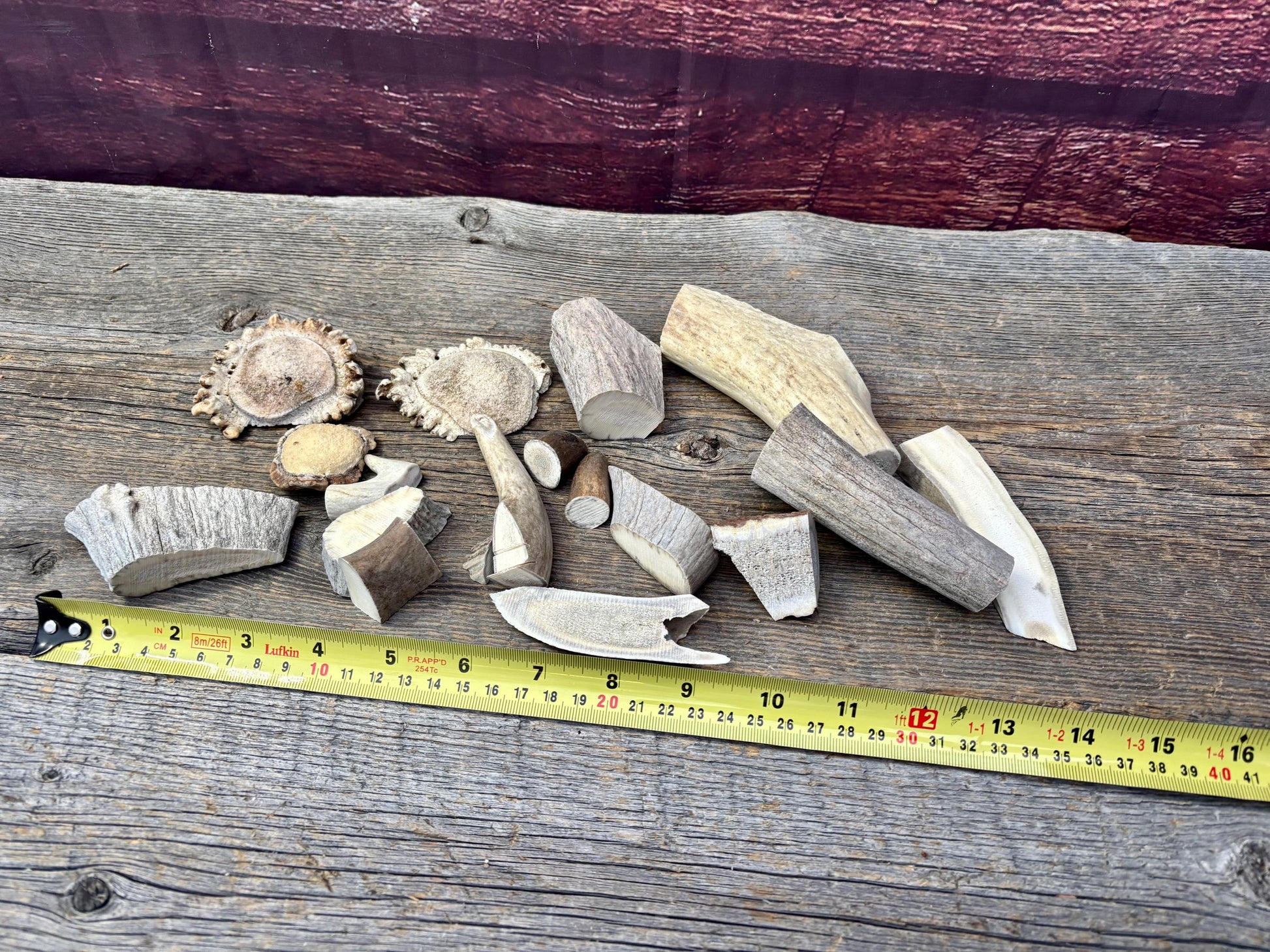 Deer, Moose and Elk Antler Chunks and Trimmings, small chunks and Trimmings and Tips. Useable for Crafting, Decor and More!