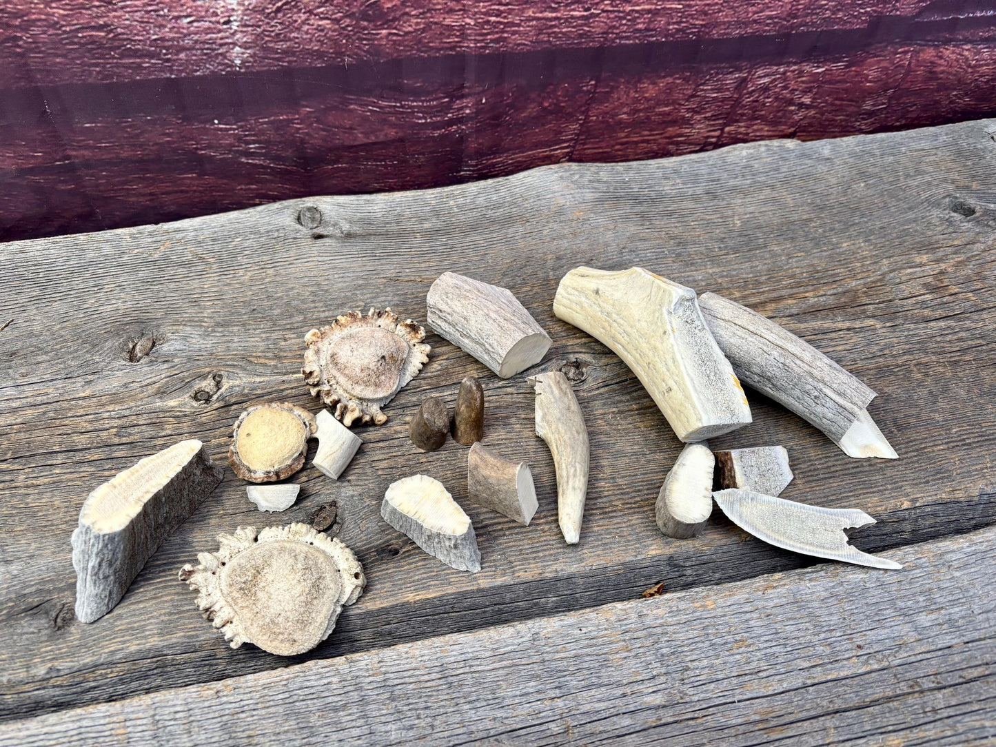 Deer, Moose and Elk Antler Chunks and Trimmings, small chunks and Trimmings and Tips. Useable for Crafting, Decor and More!