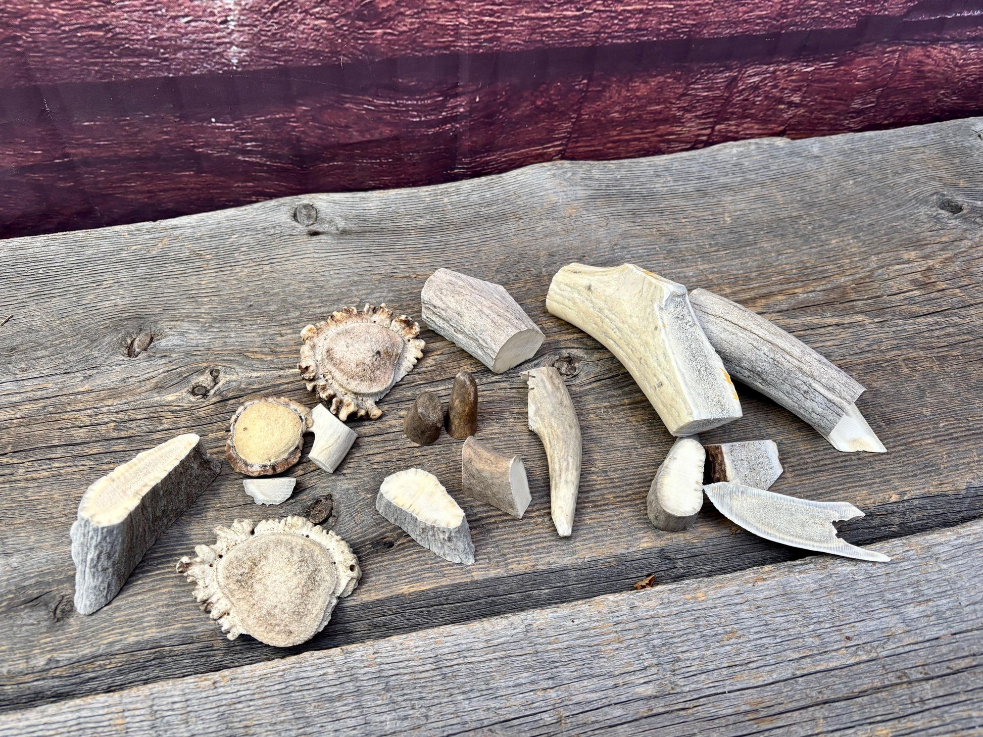 Deer, Moose and Elk Antler Chunks and Trimmings, small chunks and Trimmings and Tips. Useable for Crafting, Decor and More!