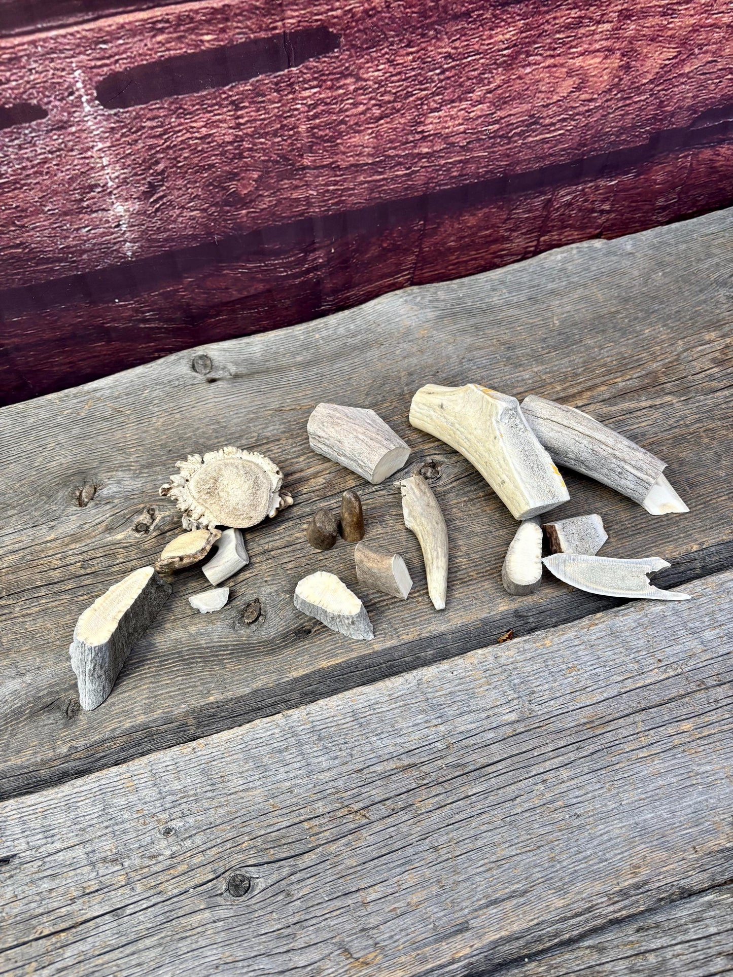 Deer, Moose and Elk Antler Chunks and Trimmings, small chunks and Trimmings and Tips. Useable for Crafting, Decor and More!