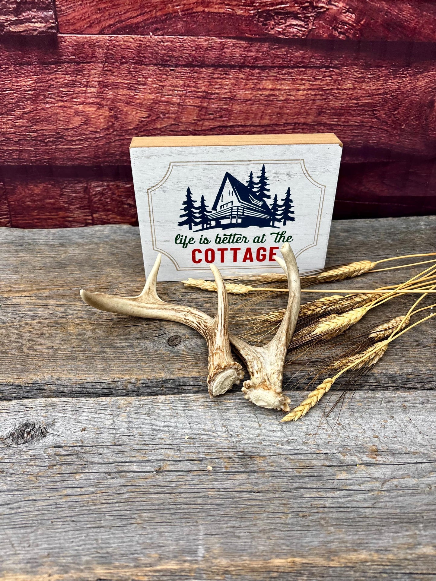 Deer Antlers - White-tailed Deer Matching set. Canadian Buck. Crafting and Decor Antlers