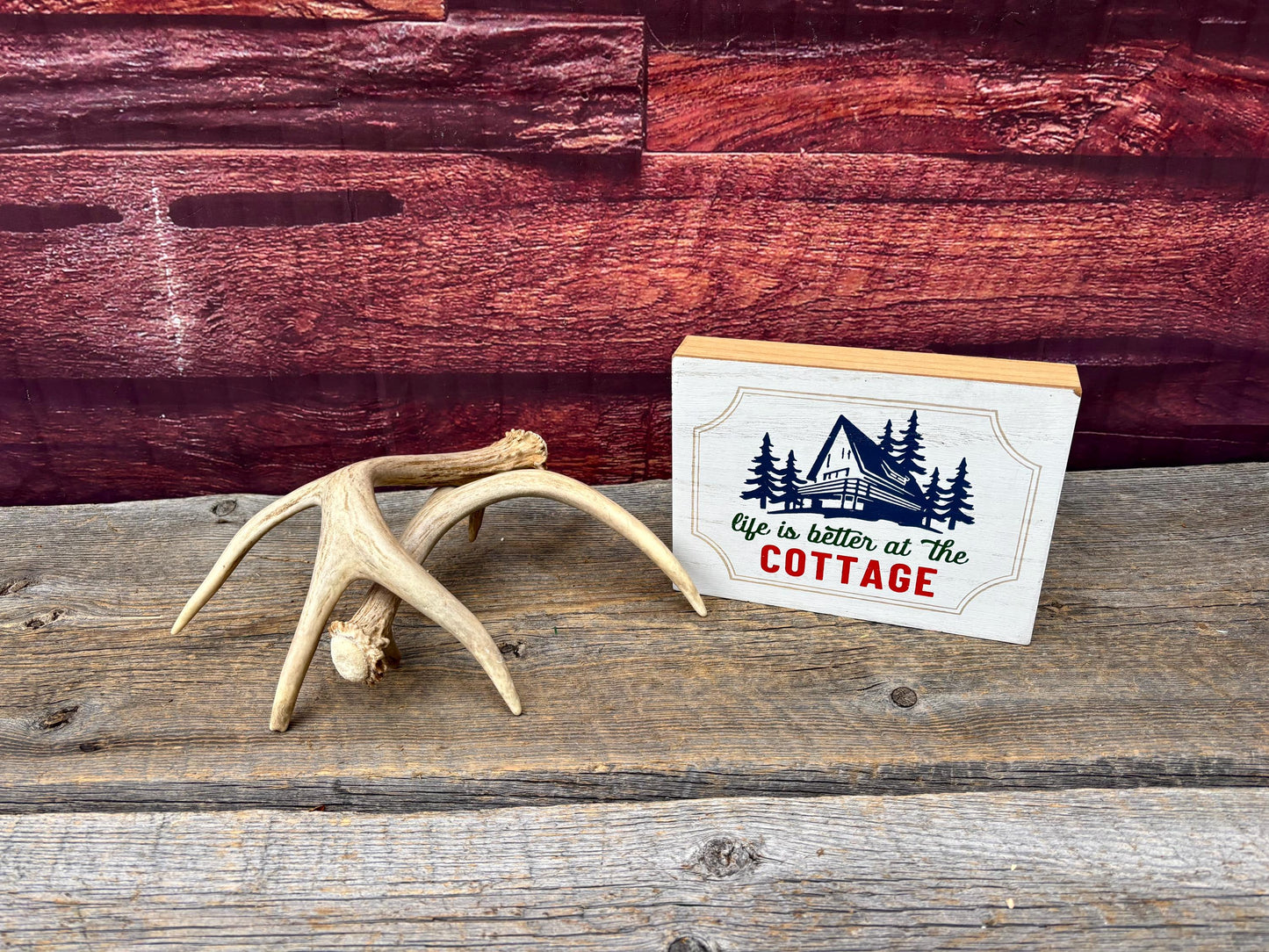 Deer Antlers - Small White-tailed Deer Matching set. Canadian Buck. Crafting and Decor Antlers