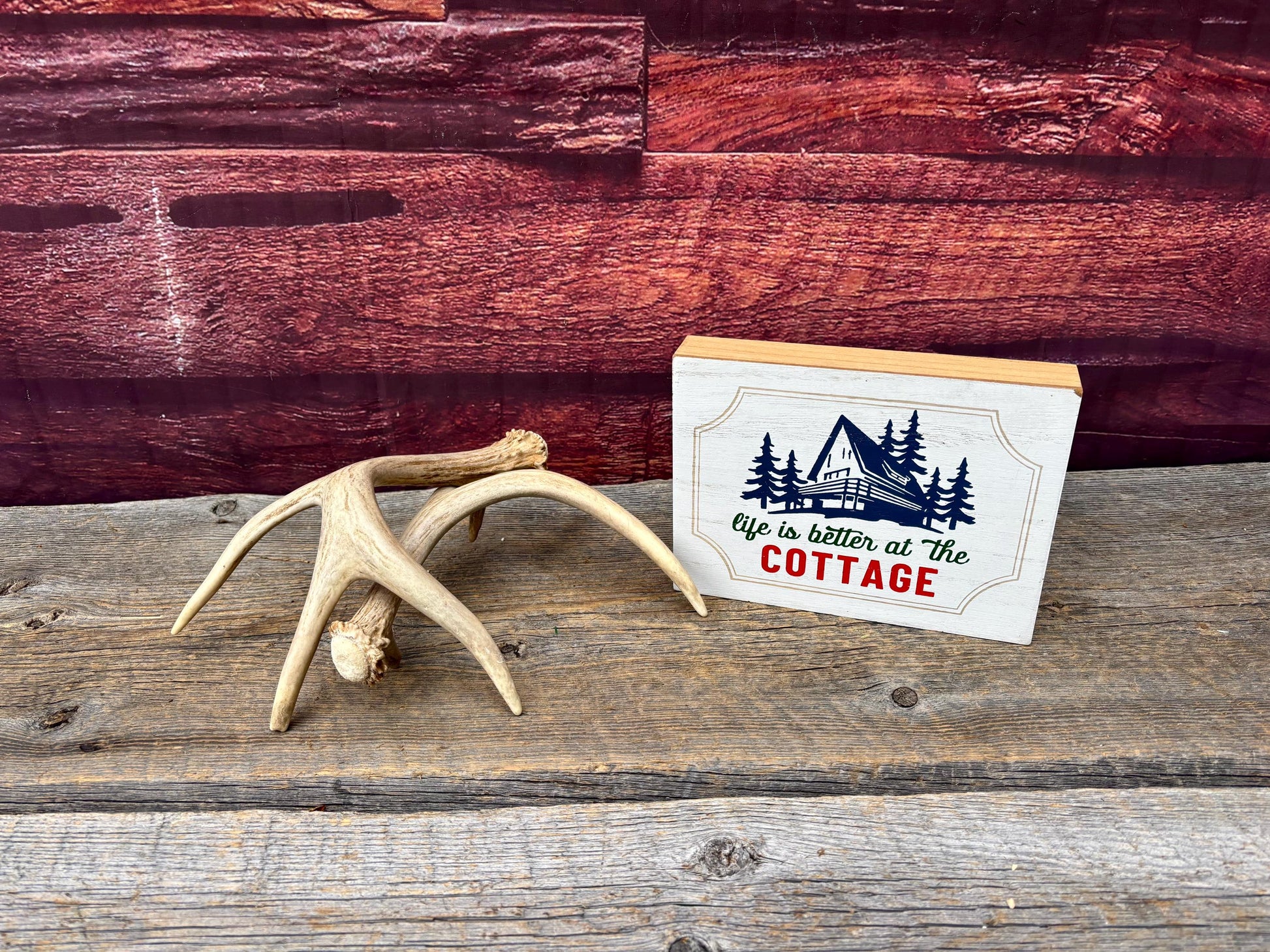 Deer Antlers - Small White-tailed Deer Matching set. Canadian Buck. Crafting and Decor Antlers