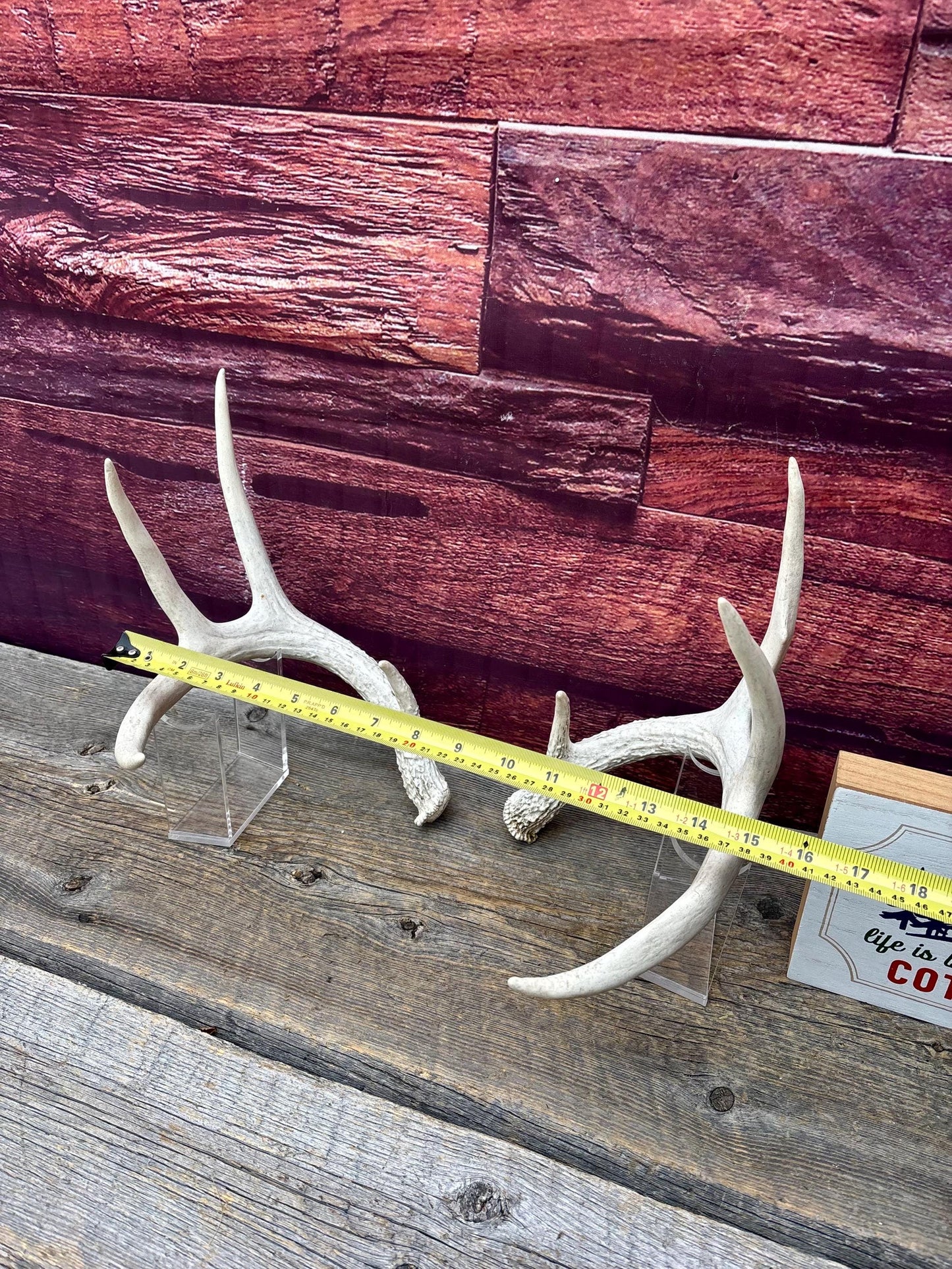 Deer Antlers - Medium Sized White-tailed Deer Matching set. Canadian Buck. Crafting and Decor Antlers