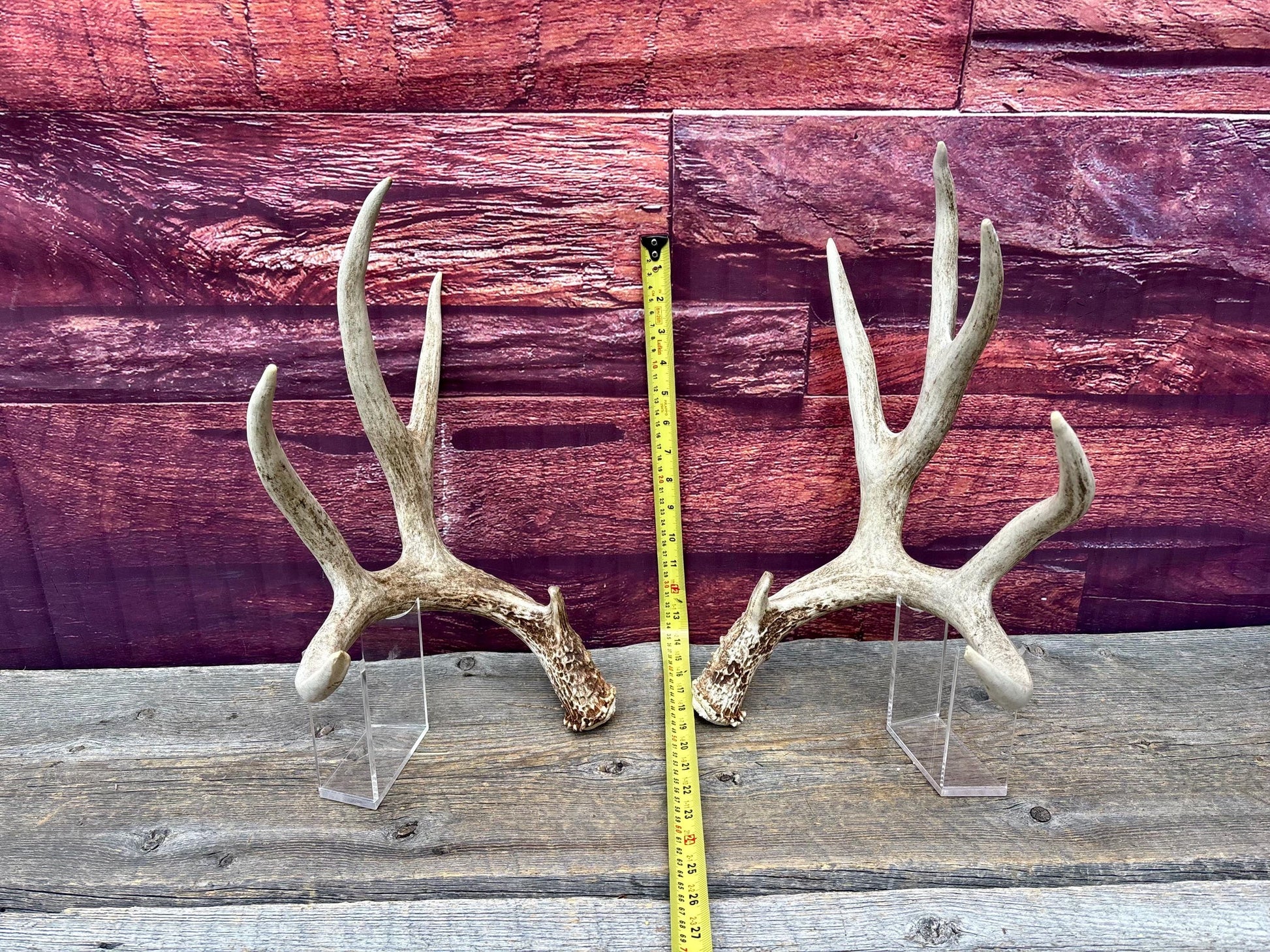 Deer Antlers - Large Mule Deer Matching set. Canadian Buck. Crafting and Decor Antlers