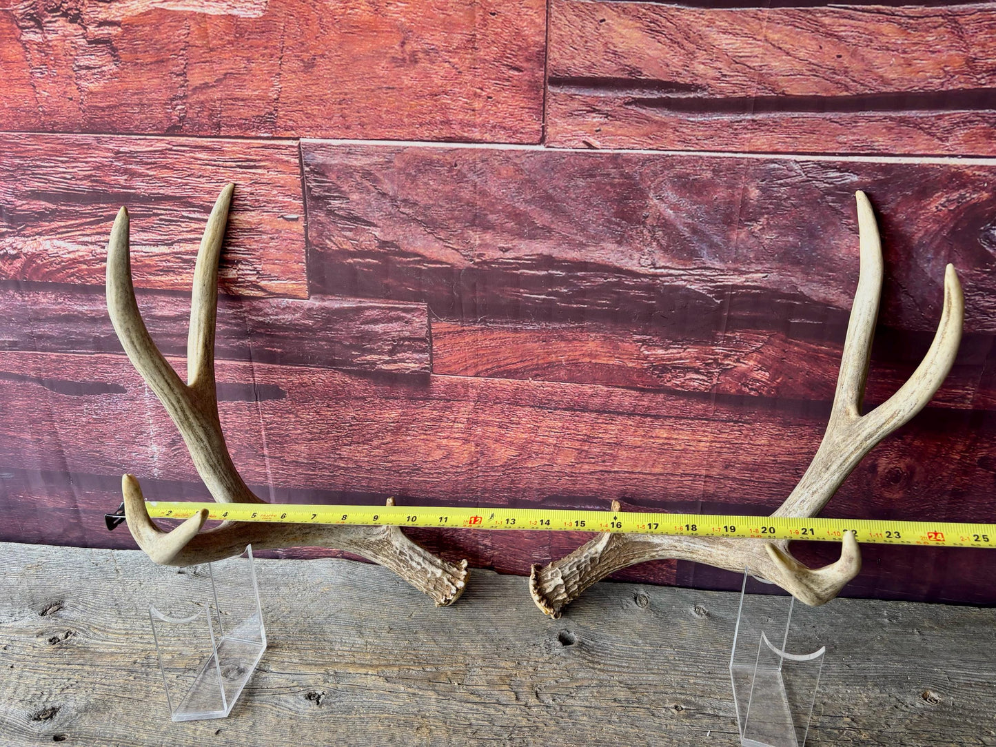 Deer Antlers - Large Mule Deer Matching set. Canadian Buck. Crafting and Decor Antlers