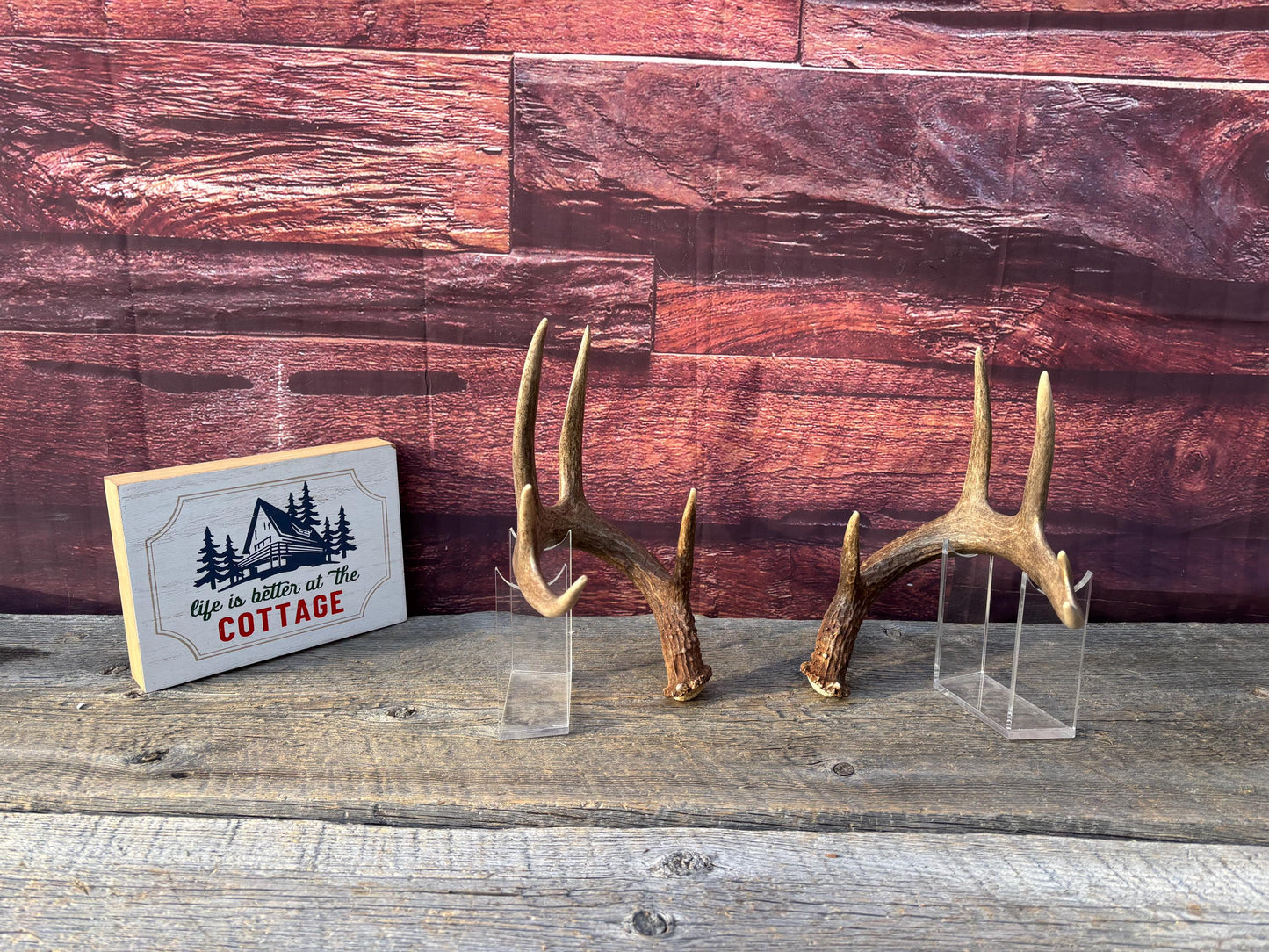 Matched Albertan White-tailed Deer Antlers. Super classic 10-pt Set