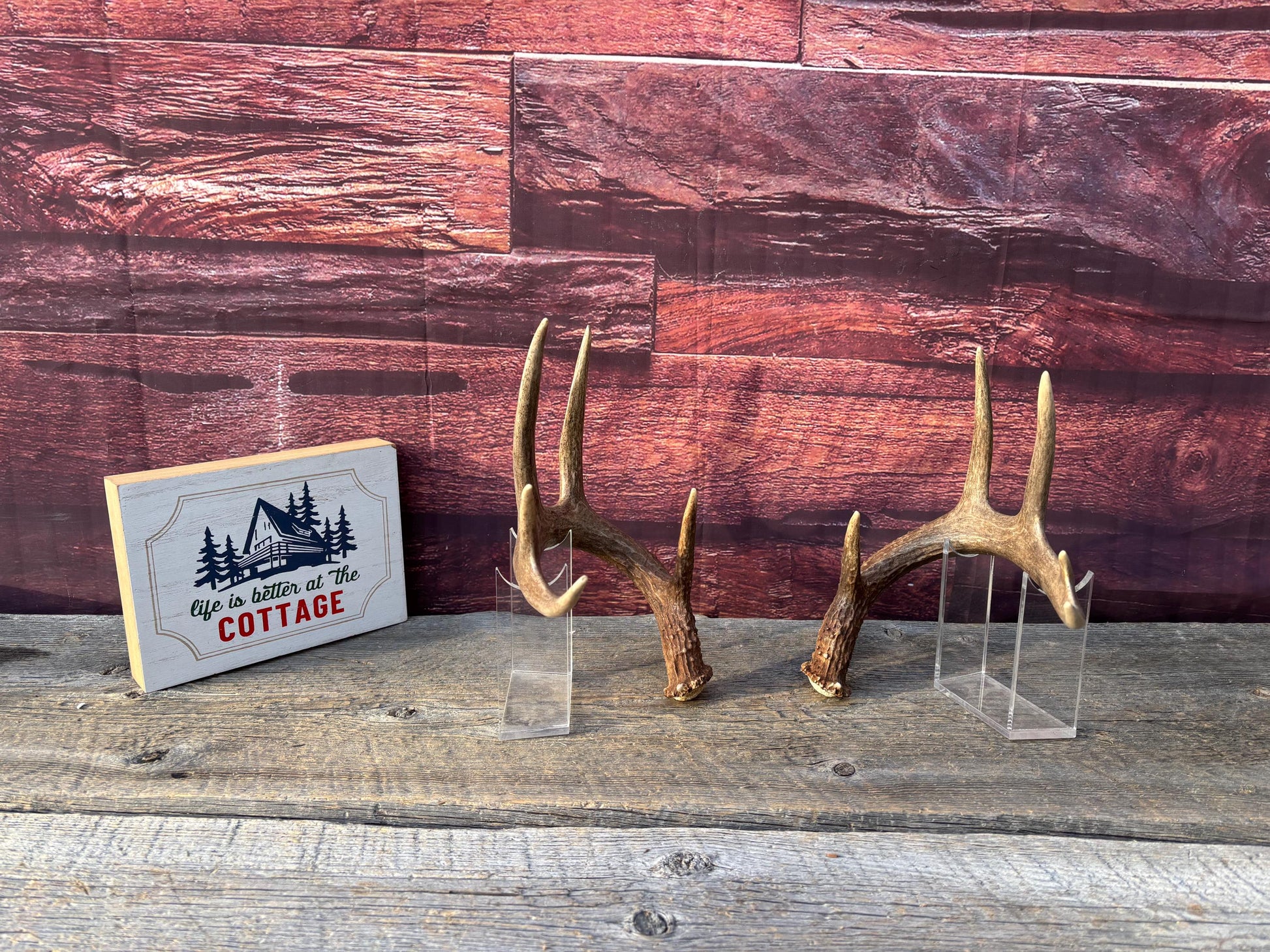 Matched Albertan White-tailed Deer Antlers. Super classic 10-pt Set