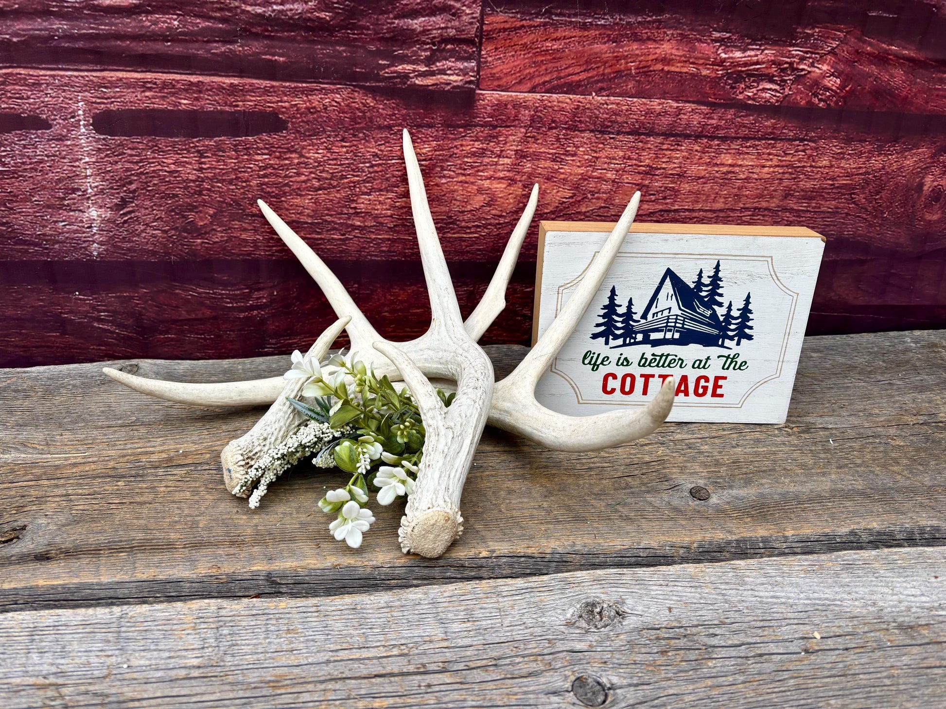 Deer Antlers - Medium Sized White-tailed Deer Matching set. Canadian Buck. Crafting and Decor Antlers