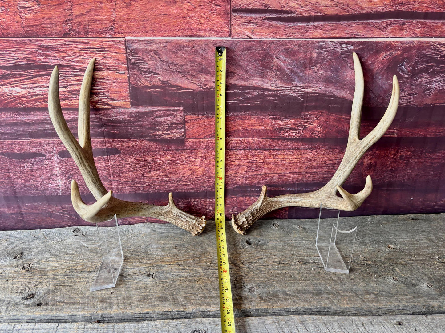 Deer Antlers - Large Mule Deer Matching set. Canadian Buck. Crafting and Decor Antlers
