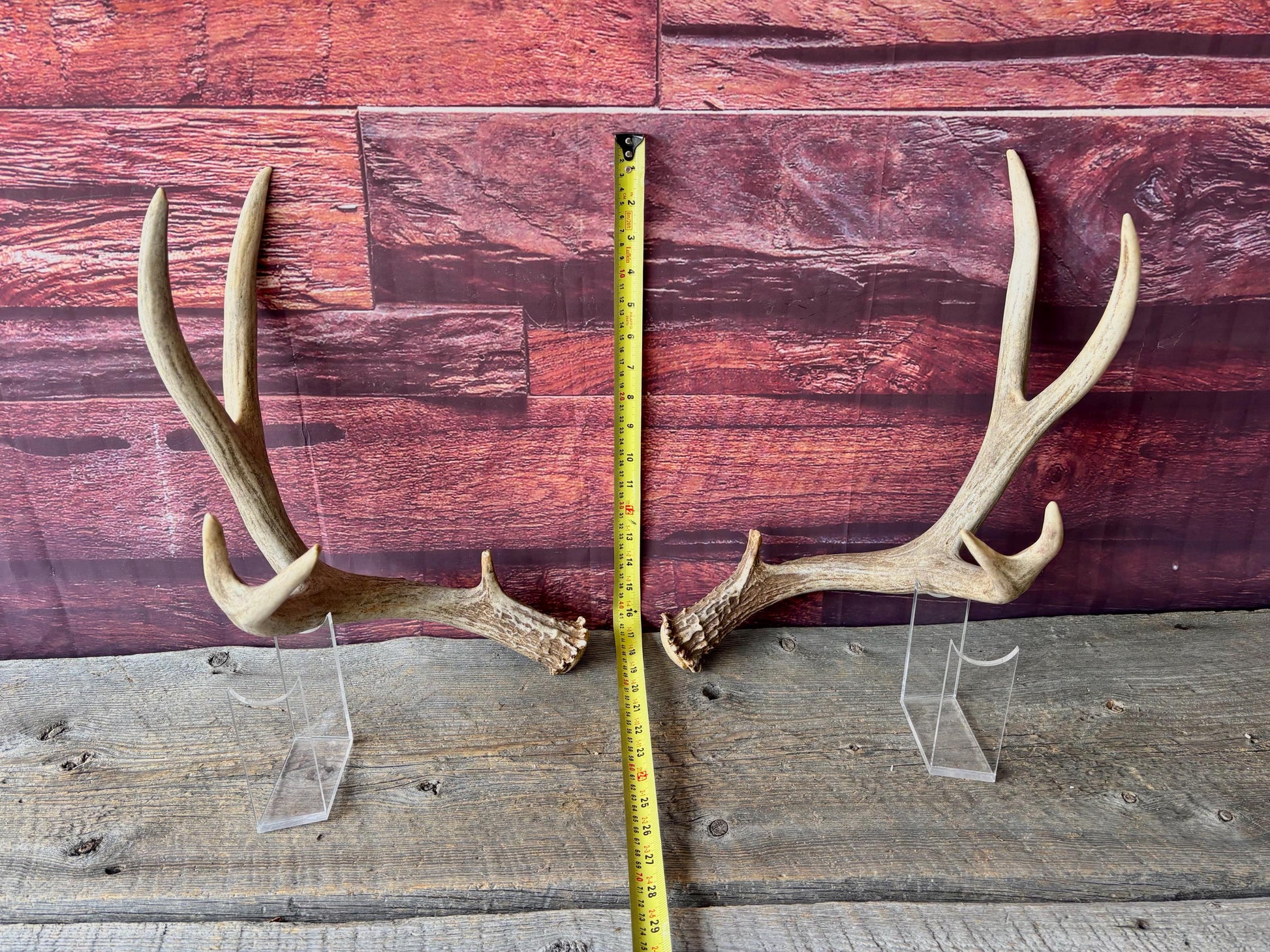Deer Antlers - Large Mule Deer Matching set. Canadian Buck. Crafting and Decor Antlers