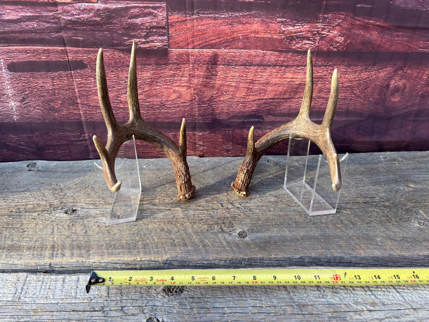 Matched Albertan White-tailed Deer Antlers. Super classic 10-pt Set