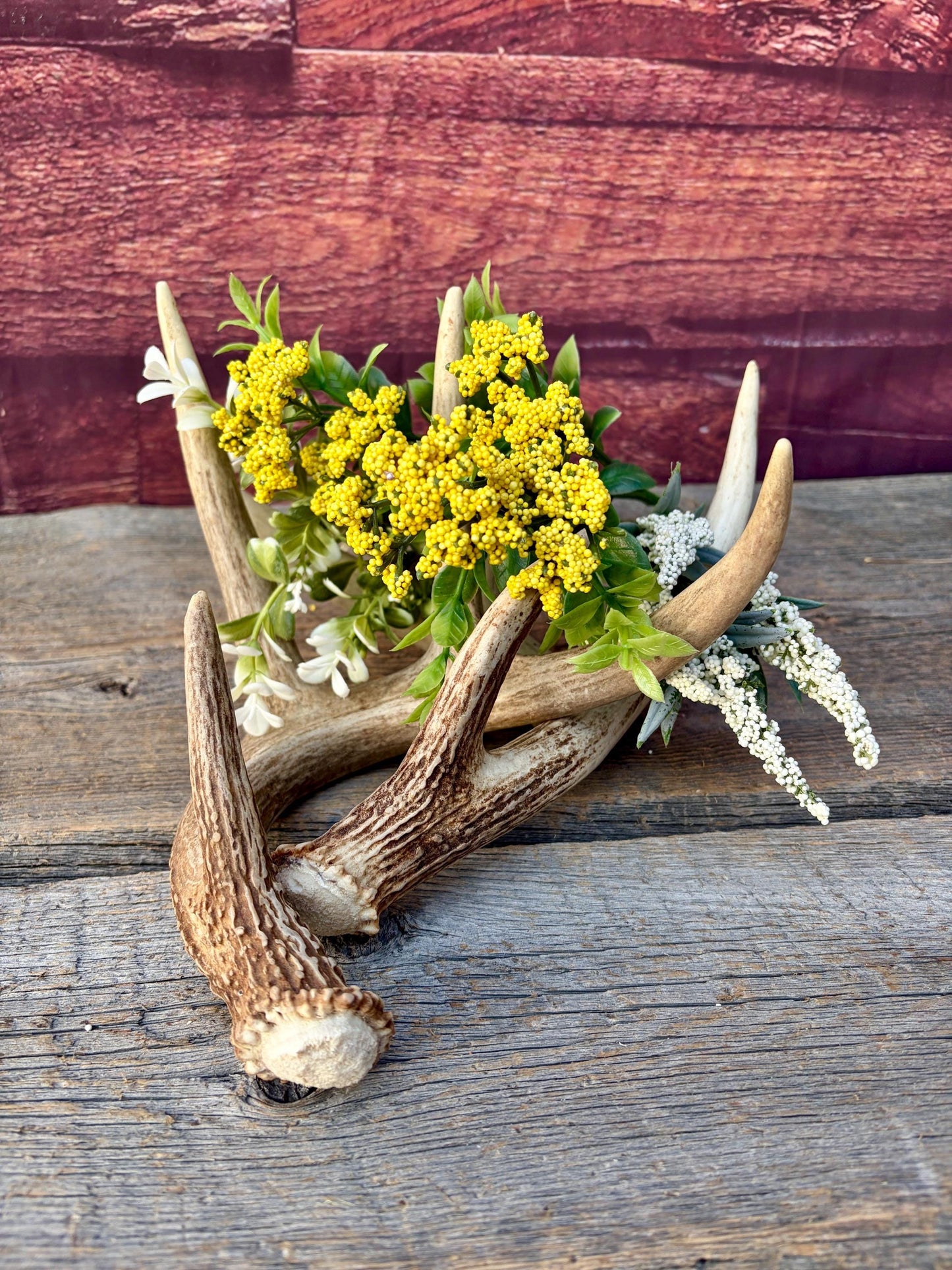 Matched White-Tailed Deer Antlers: Freshly Shed, small 8-Point set.