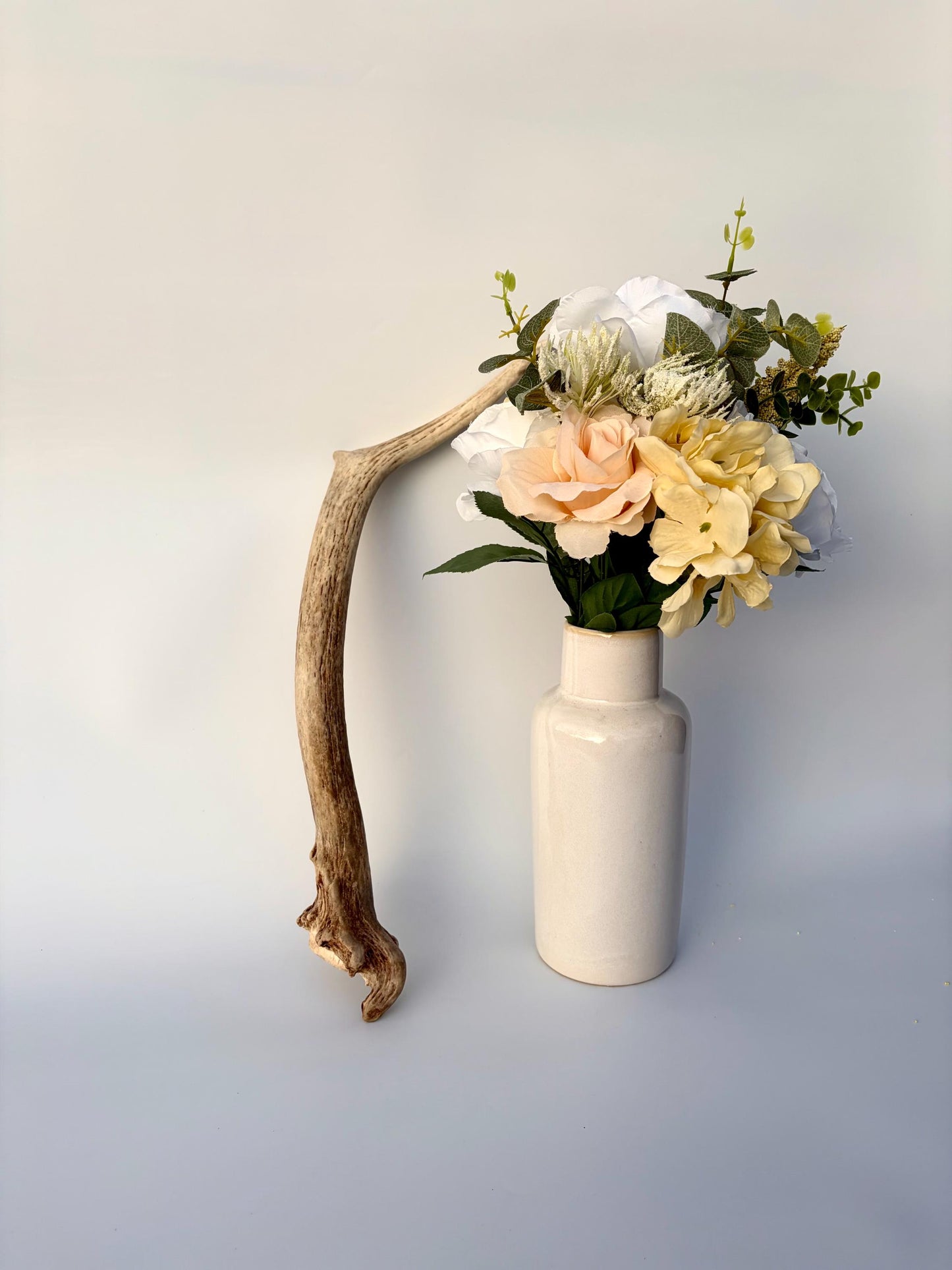 Small Elk Antler. Elk Antler for Decor, Crafting, Pets and More