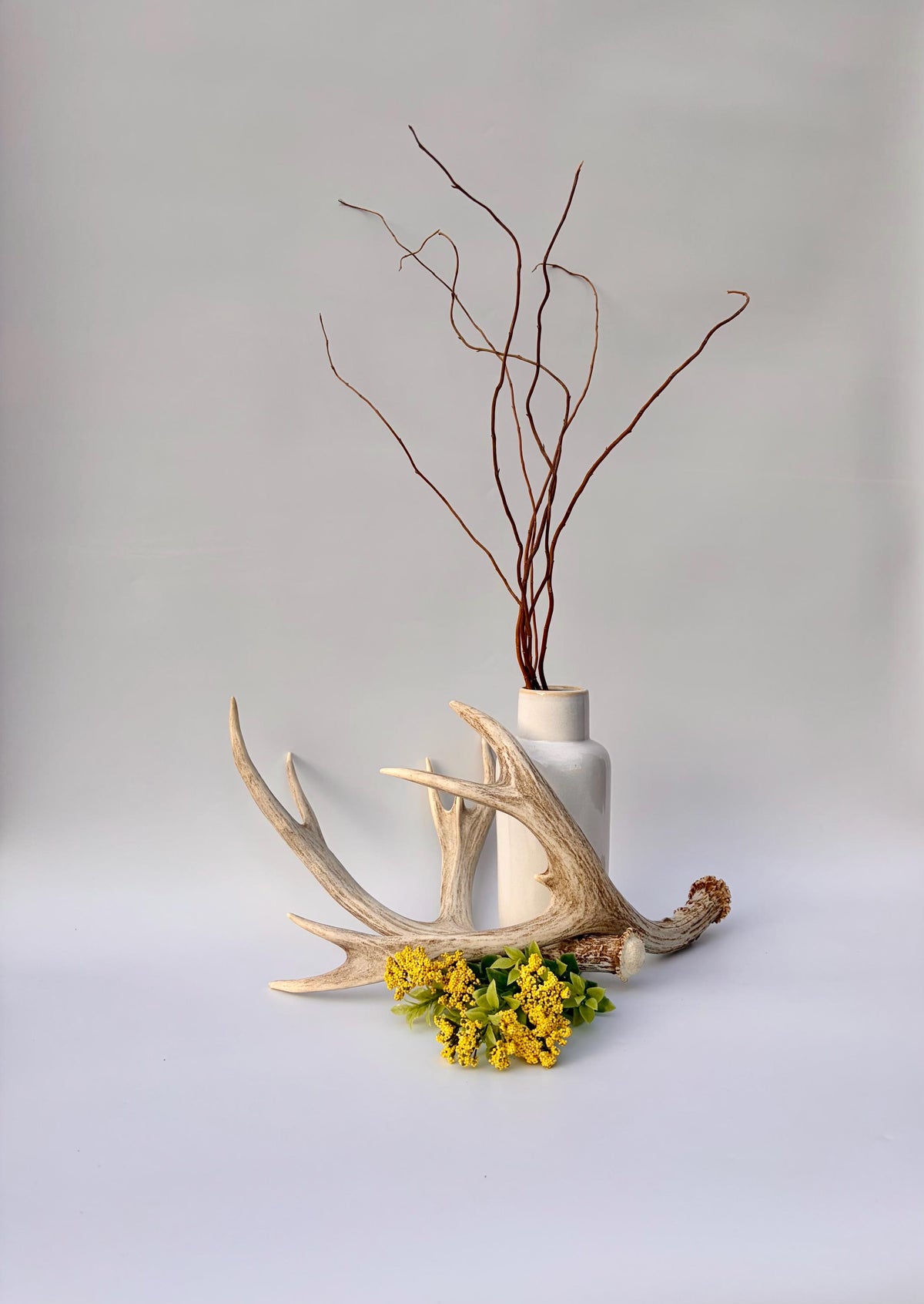 Mule Deer Antlers. Matching Brown Set. Decor, design, crafting and more!