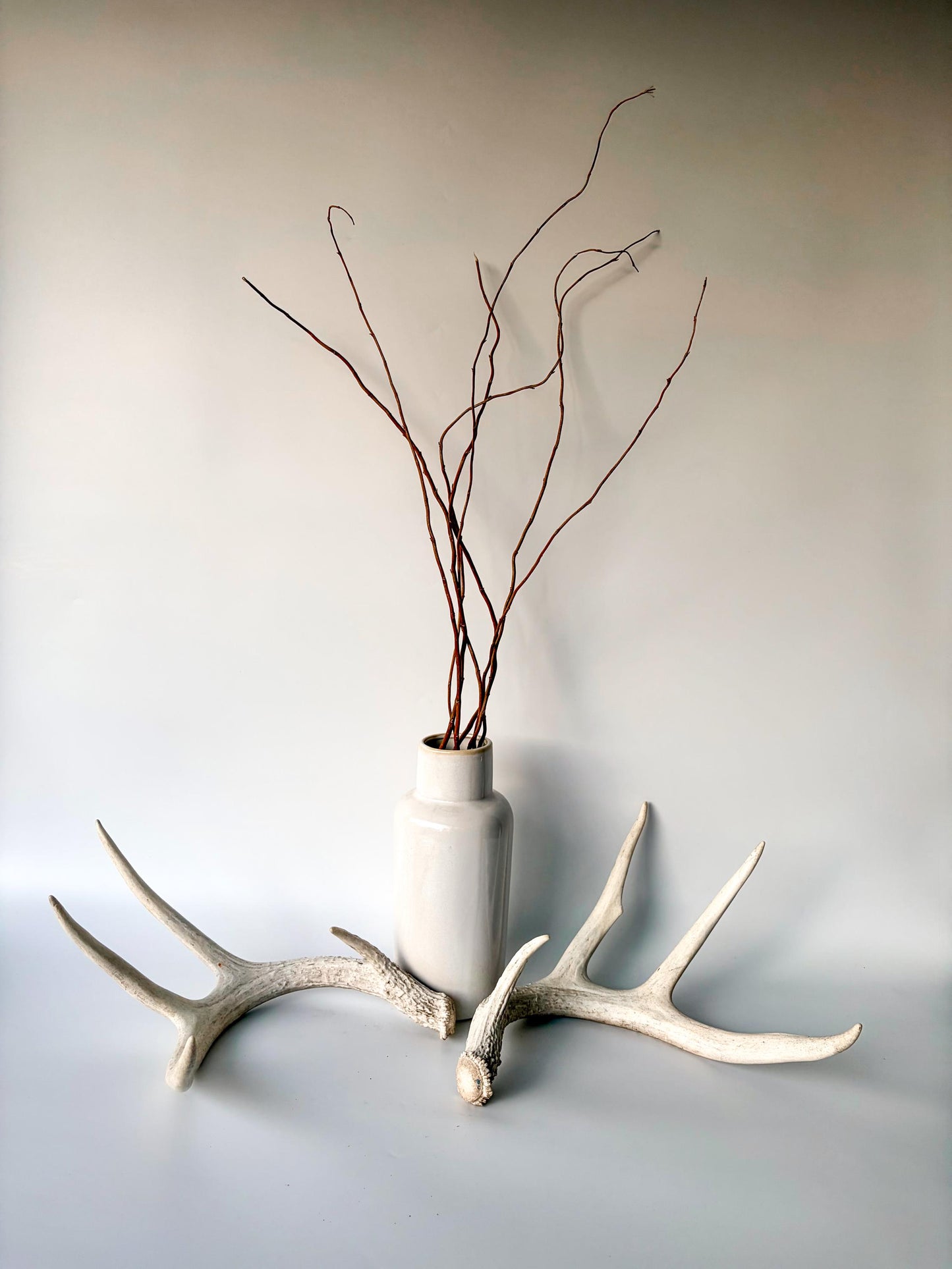 Deer Antlers - Medium Sized White-tailed Deer Matching set. Canadian Buck. Crafting and Decor Antlers