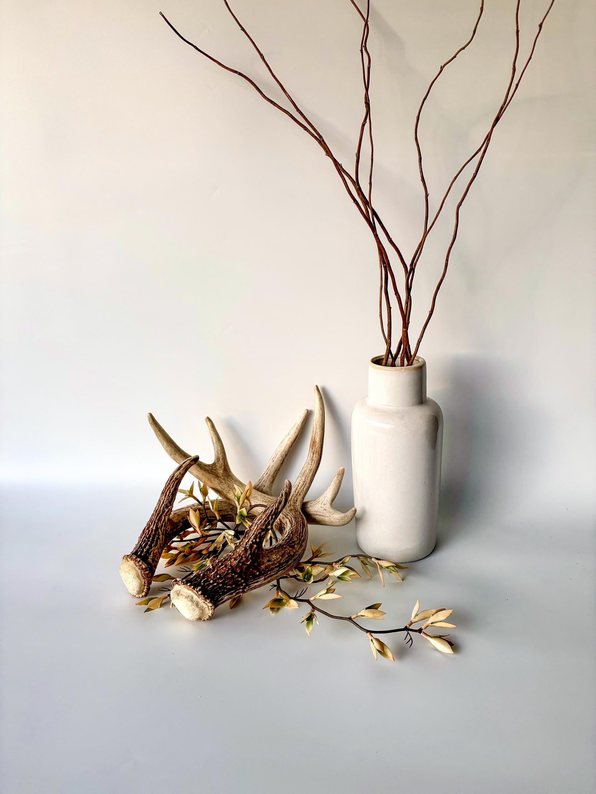 Deer Antlers - White-tailed Deer Matching set. Canadian Buck. Crafting and Decor Antlers