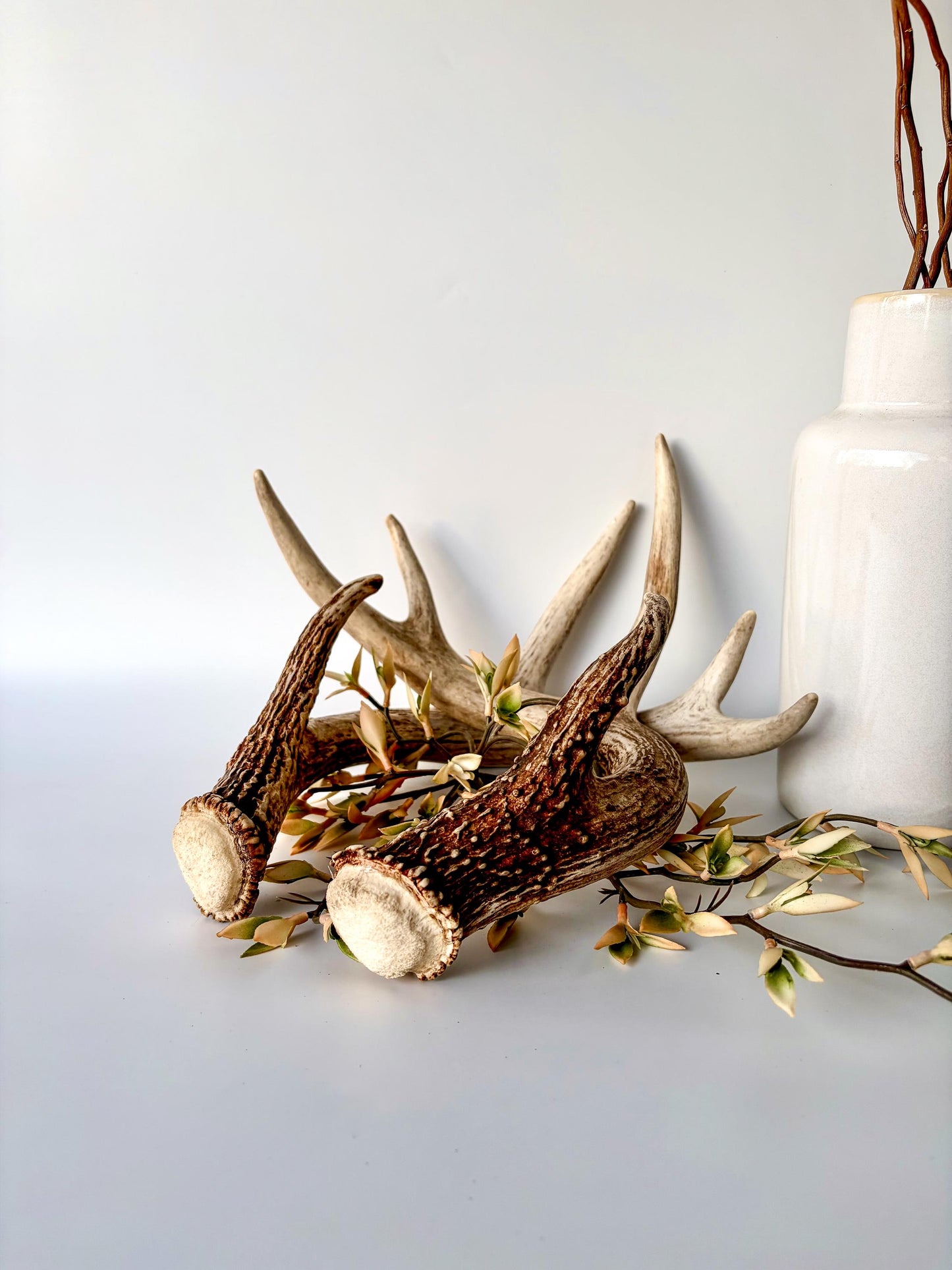 Deer Antlers - White-tailed Deer Matching set. Canadian Buck. Crafting and Decor Antlers