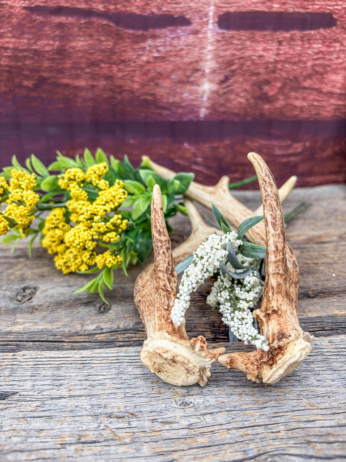 Deer Antlers - Small, Matching, White-tailed Deer Antler set. Crafting and Decor Antlers