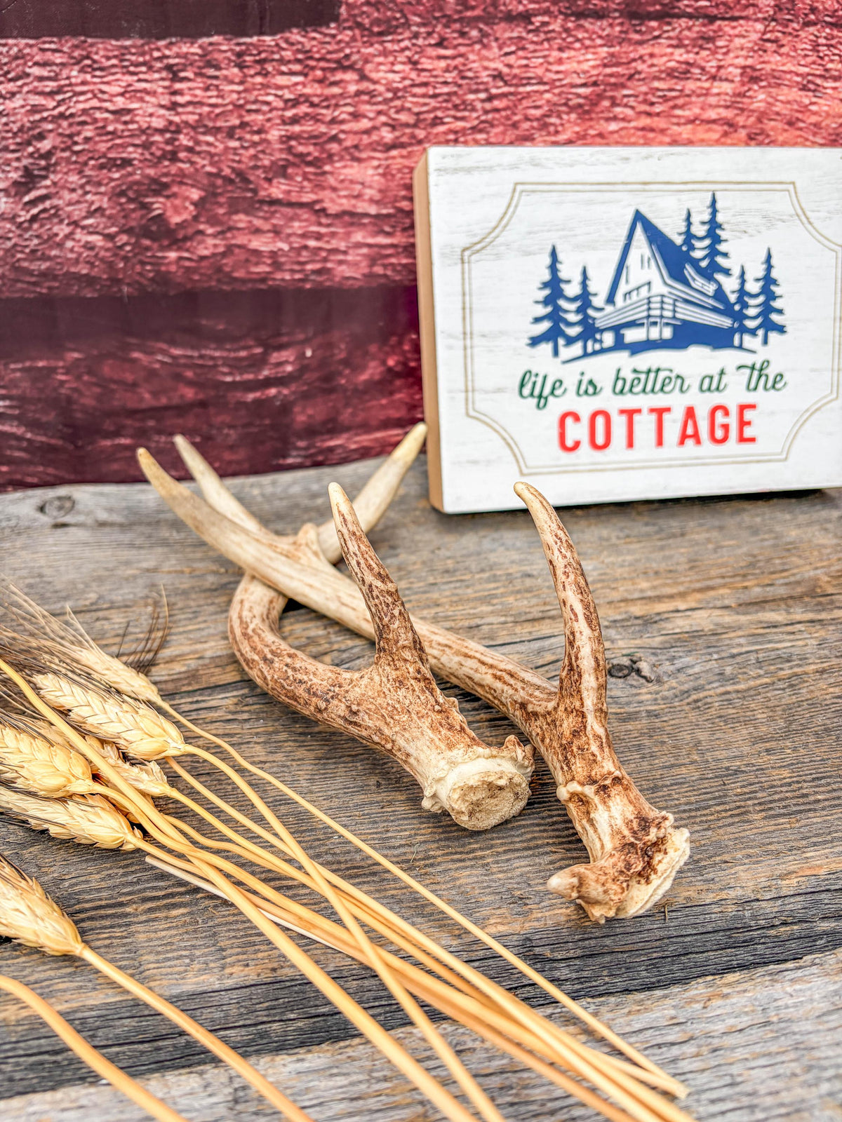 Deer Antlers - Small, Matching, White-tailed Deer Antler set. Crafting and Decor Antlers