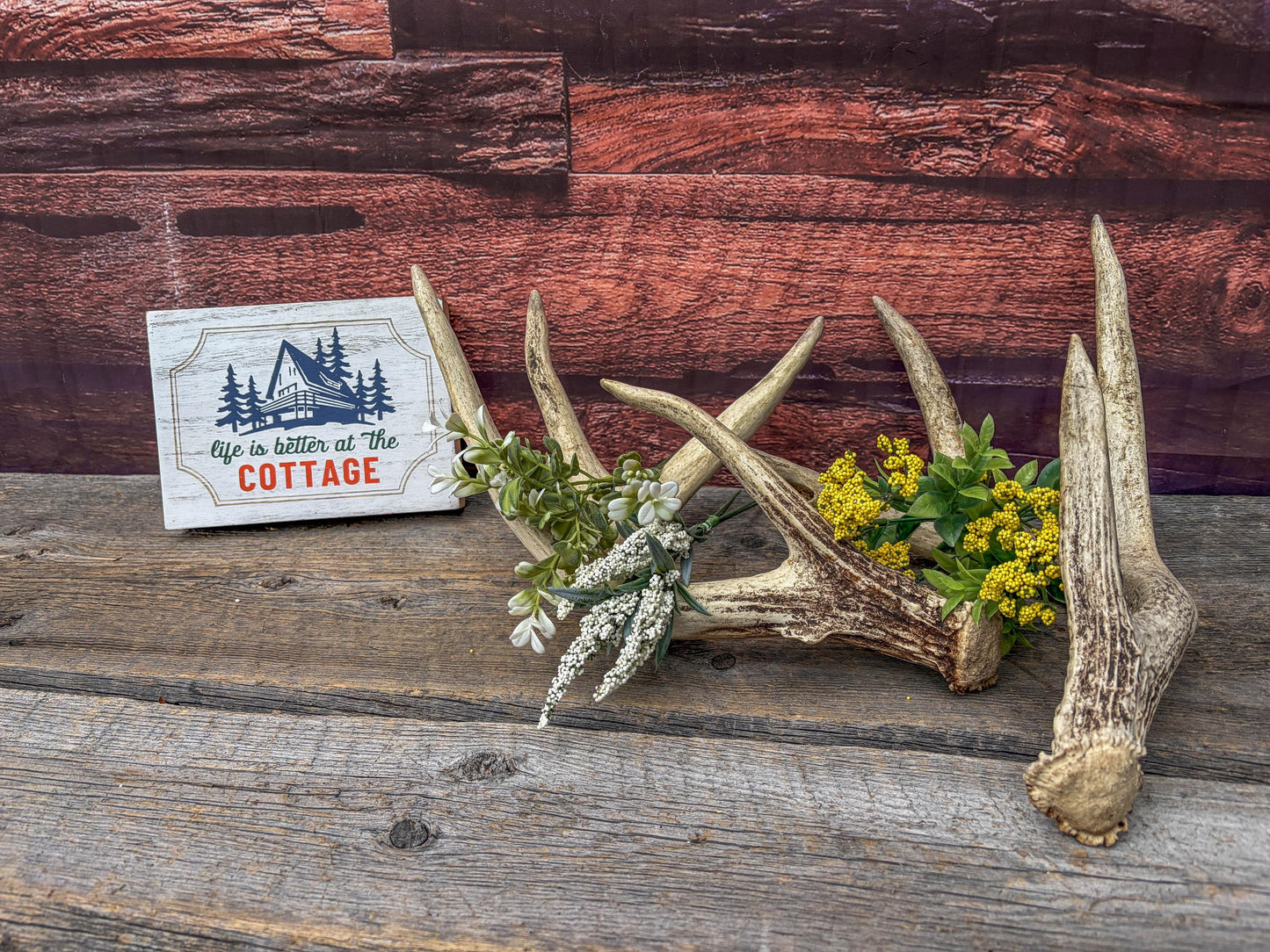 White-tailed Deer Antlers - Large Matching Set. Decor, Crafting and More.