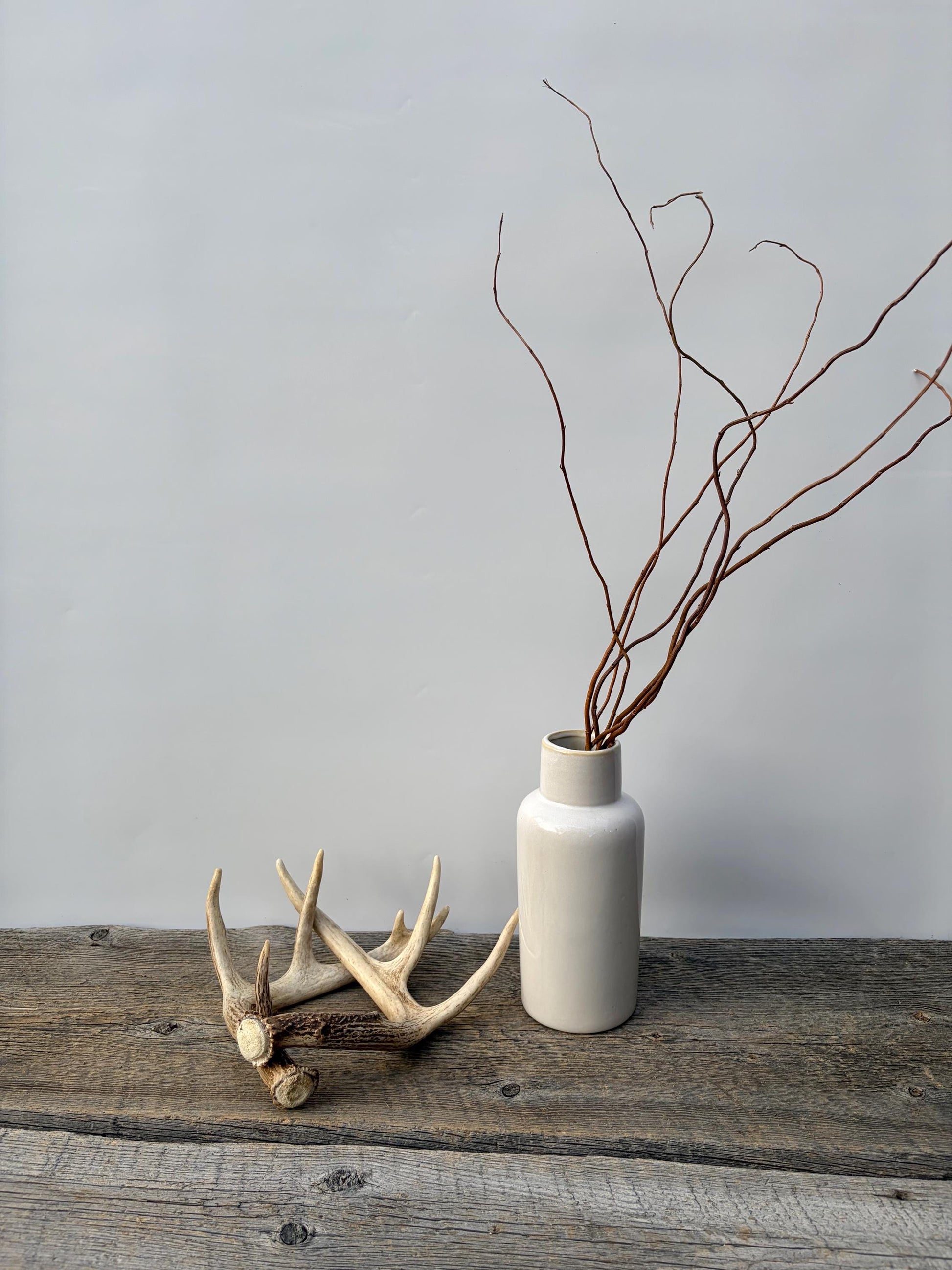 Deer Antlers - White-tailed Deer Matching set. Canadian Buck. Small Crafting and Decor Antlers