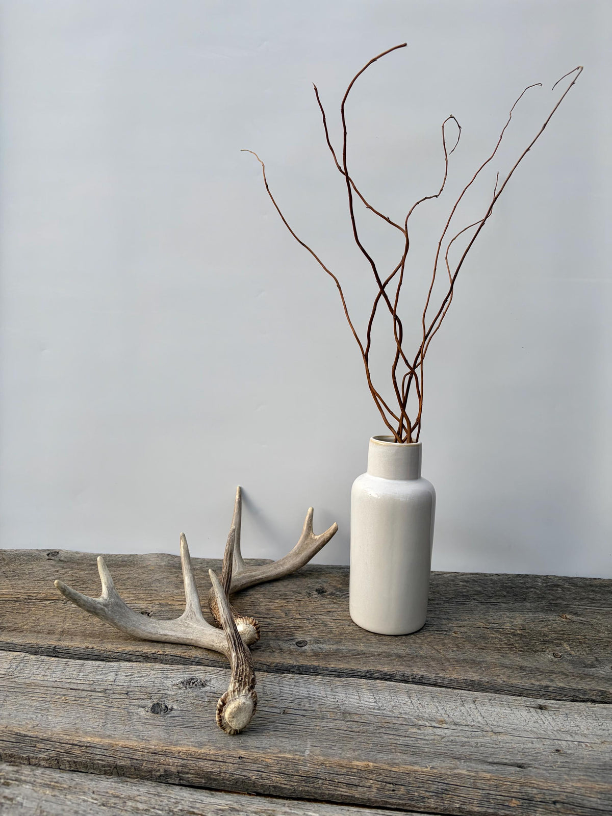 Deer Antlers - White-tailed Deer Matching set. Canadian Buck. Small Crafting and Decor Antlers