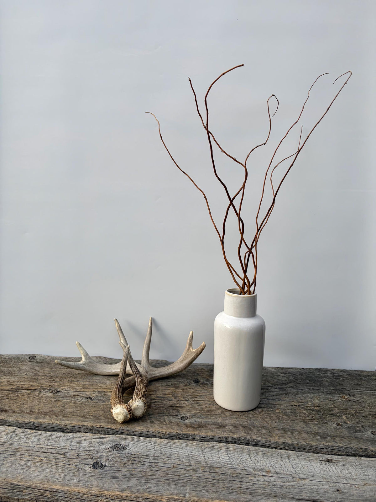 Deer Antlers - White-tailed Deer Matching set. Canadian Buck. Small Crafting and Decor Antlers