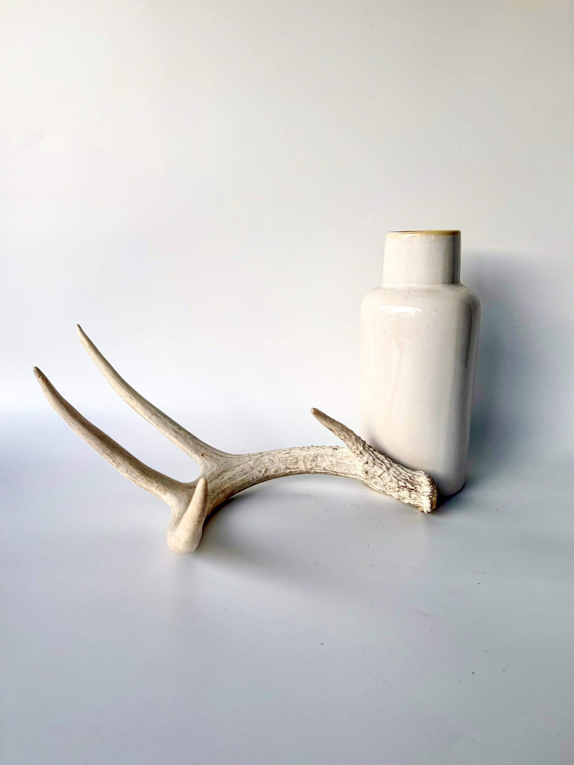 Deer Antlers - Medium Sized White-tailed Deer Matching set. Canadian Buck. Crafting and Decor Antlers
