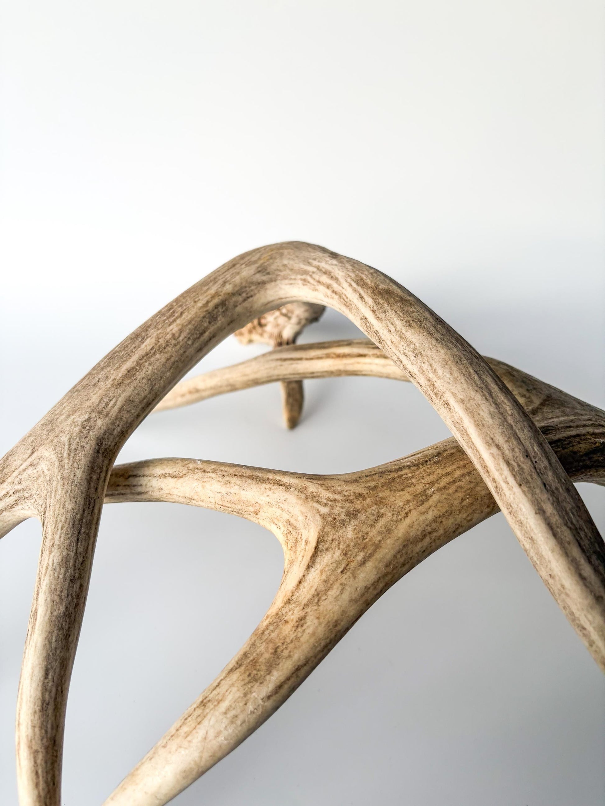 Deer Antlers - Mule deer Matching Set. Wild Canadian Mule deer Buck Antlers for Crafting, Decor and More
