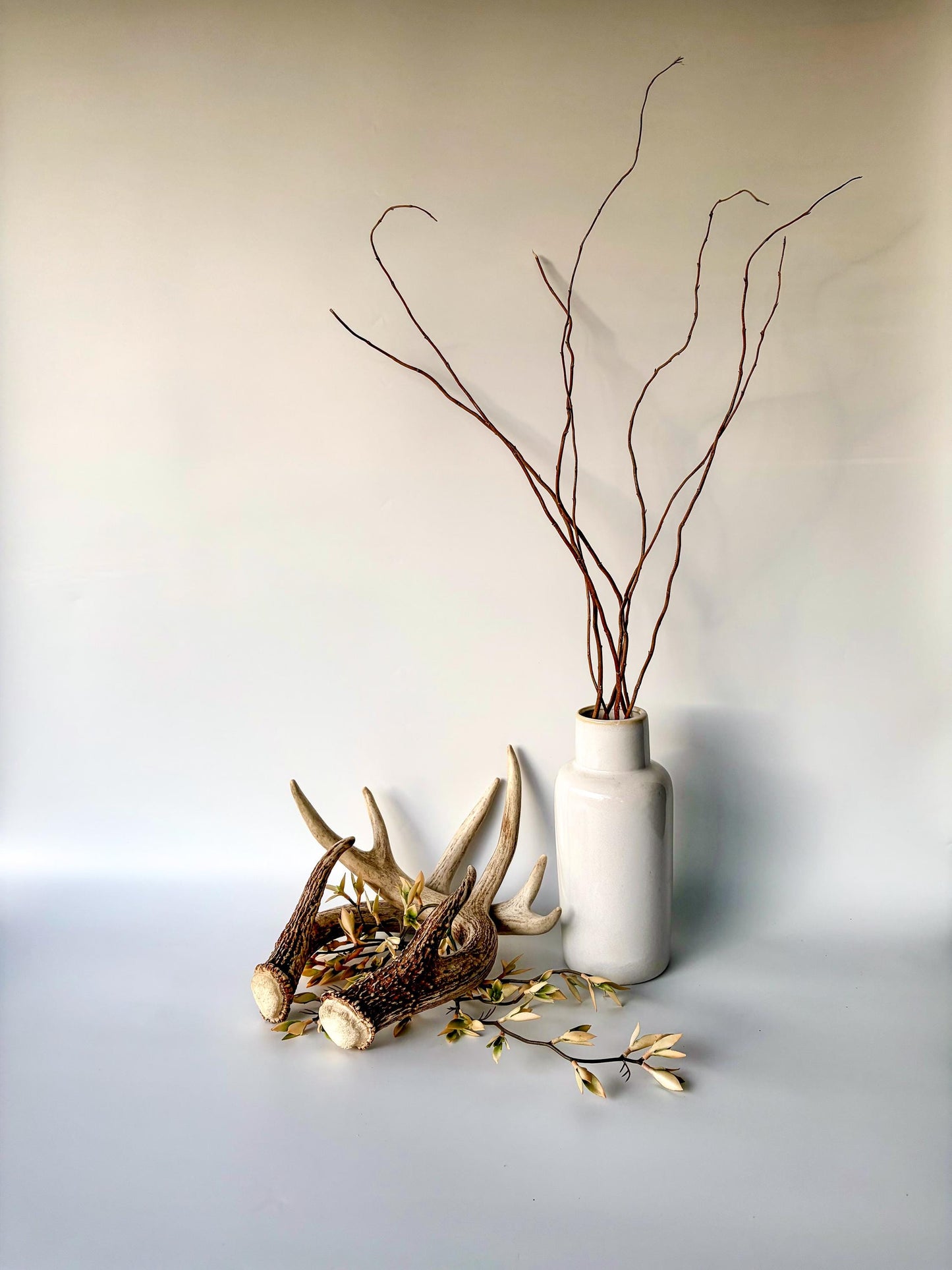 Deer Antlers - White-tailed Deer Matching set. Canadian Buck. Crafting and Decor Antlers