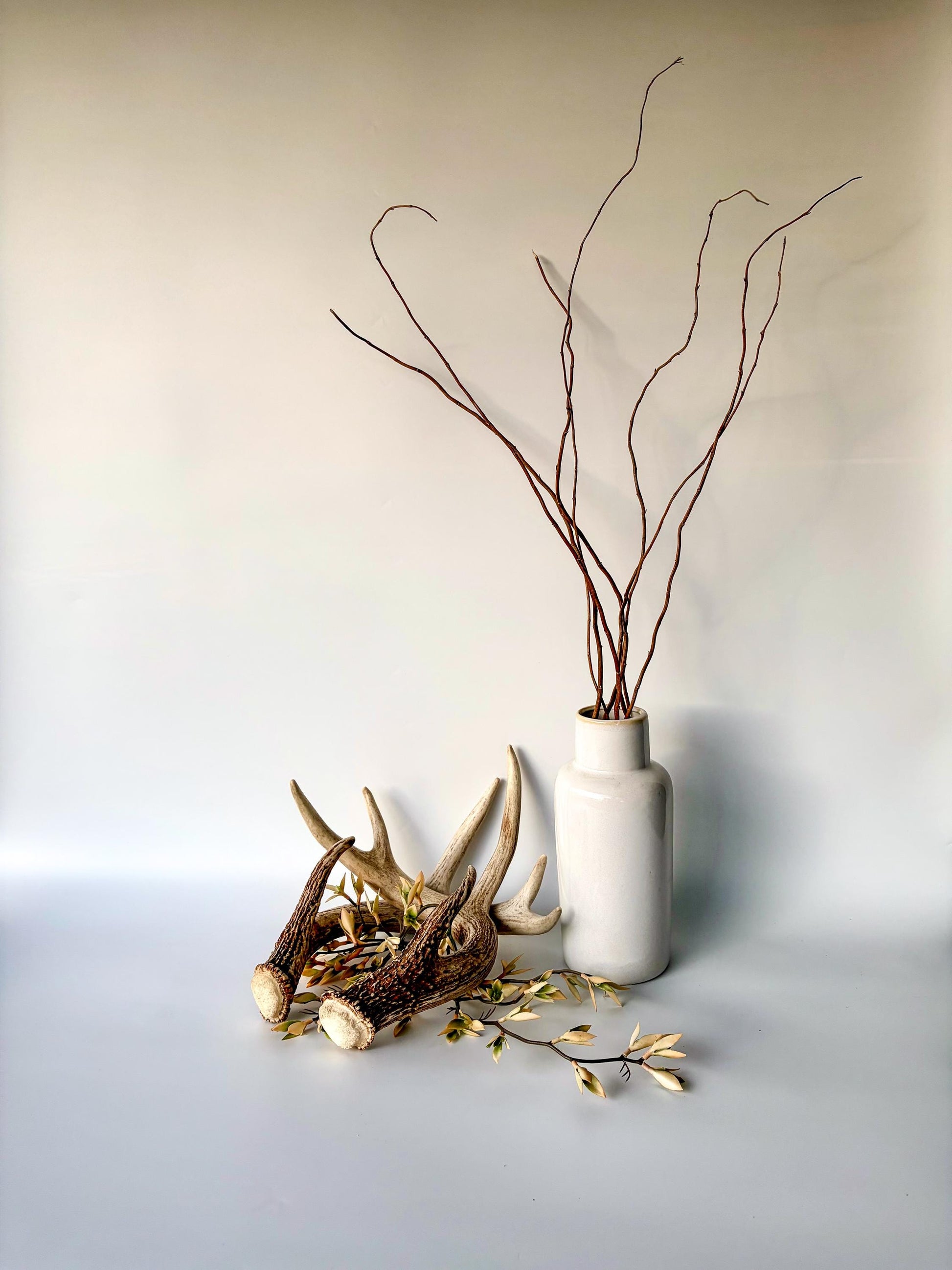 Deer Antlers - White-tailed Deer Matching set. Canadian Buck. Crafting and Decor Antlers