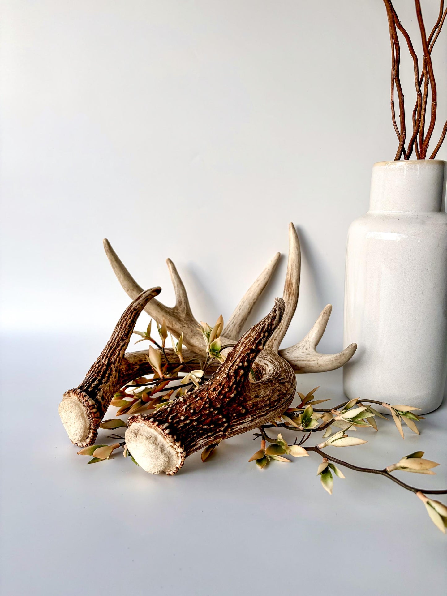 Deer Antlers - White-tailed Deer Matching set. Canadian Buck. Crafting and Decor Antlers