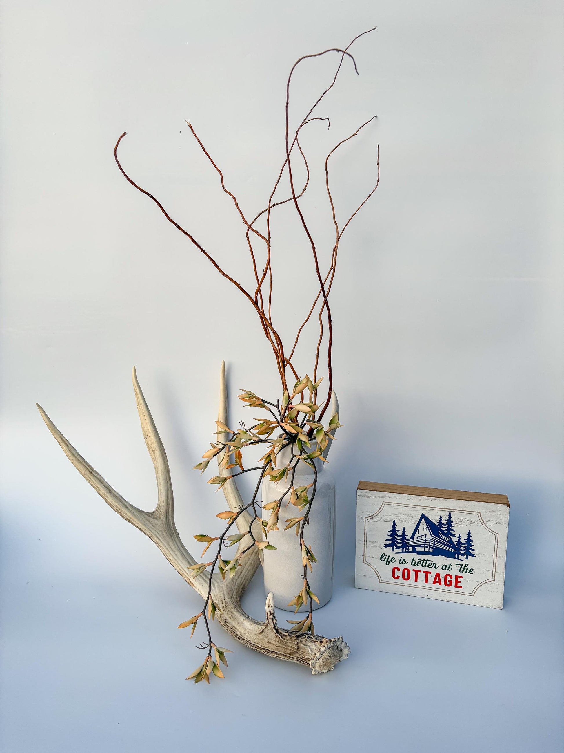 Mule deer antler. Large deep forked antler ideal for rustic style decor