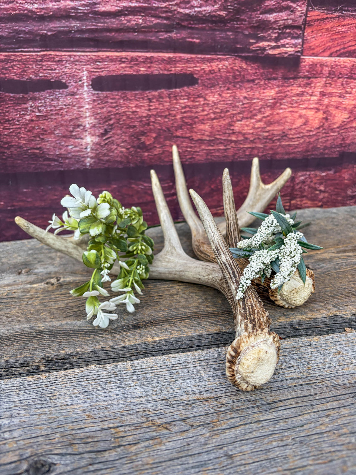 Deer Antlers - White-tailed Deer Matching set. Canadian Buck. Small Crafting and Decor Antlers