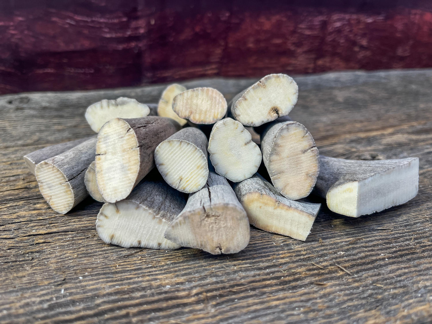 Antler Tips - Pack of 15 Tips / Tines for Crafting, Decor and More